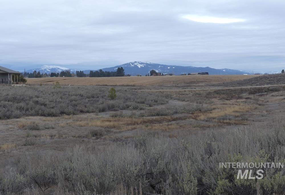 173 Brookdale Drive, McCall, Idaho 83638, Land For Sale, Price $369,000, 98969545