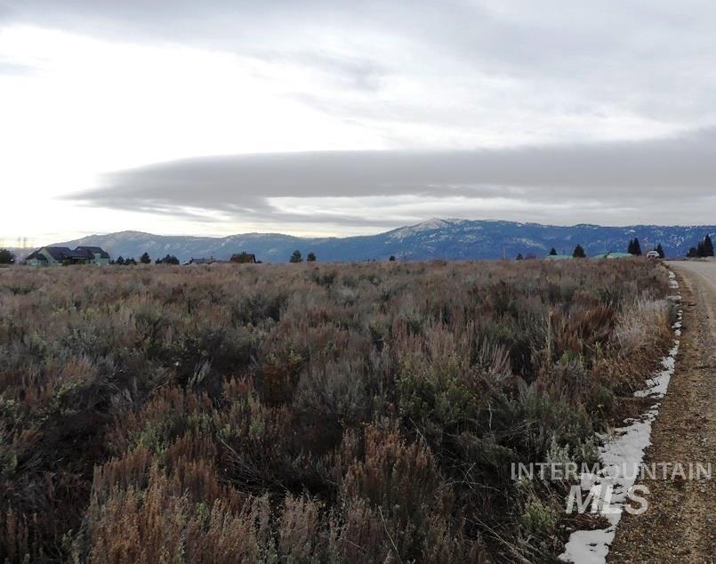 173 Brookdale Drive, McCall, Idaho 83638, Land For Sale, Price $369,000, 98969545