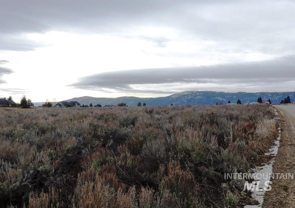 173 Brookdale Drive, McCall, Idaho 83638, Land For Sale, Price $369,000, 98969545