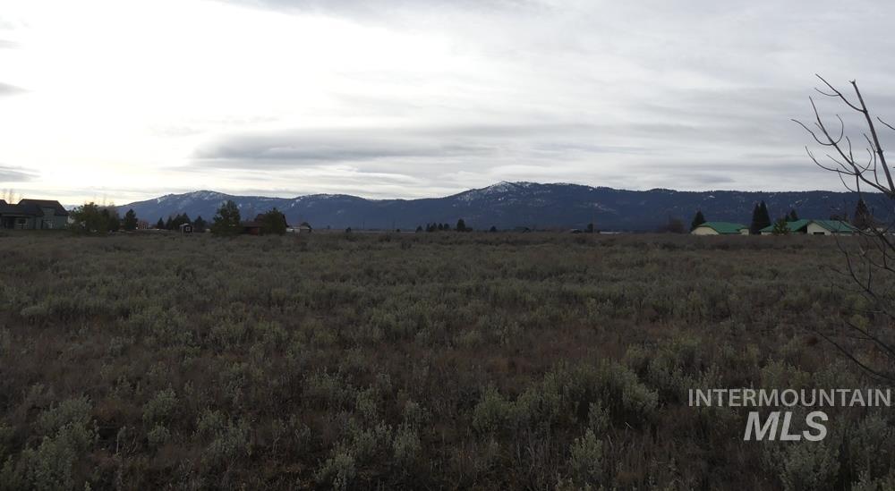 173 Brookdale Drive, McCall, Idaho 83638, Land For Sale, Price $369,000, 98969545