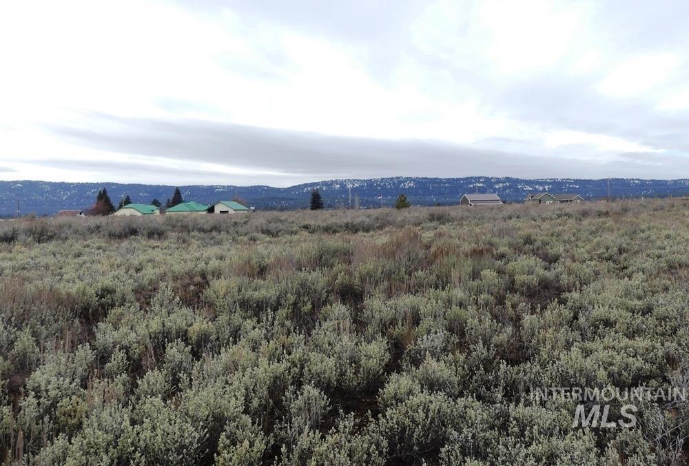 173 Brookdale Drive, McCall, Idaho 83638, Land For Sale, Price $369,000, 98969545