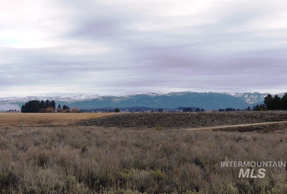 173 Brookdale Drive, McCall, Idaho 83638, Land For Sale, Price $369,000, 98969545