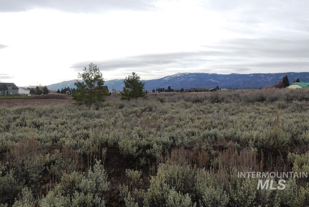 173 Brookdale Drive, McCall, Idaho 83638, Land For Sale, Price $369,000, 98969545
