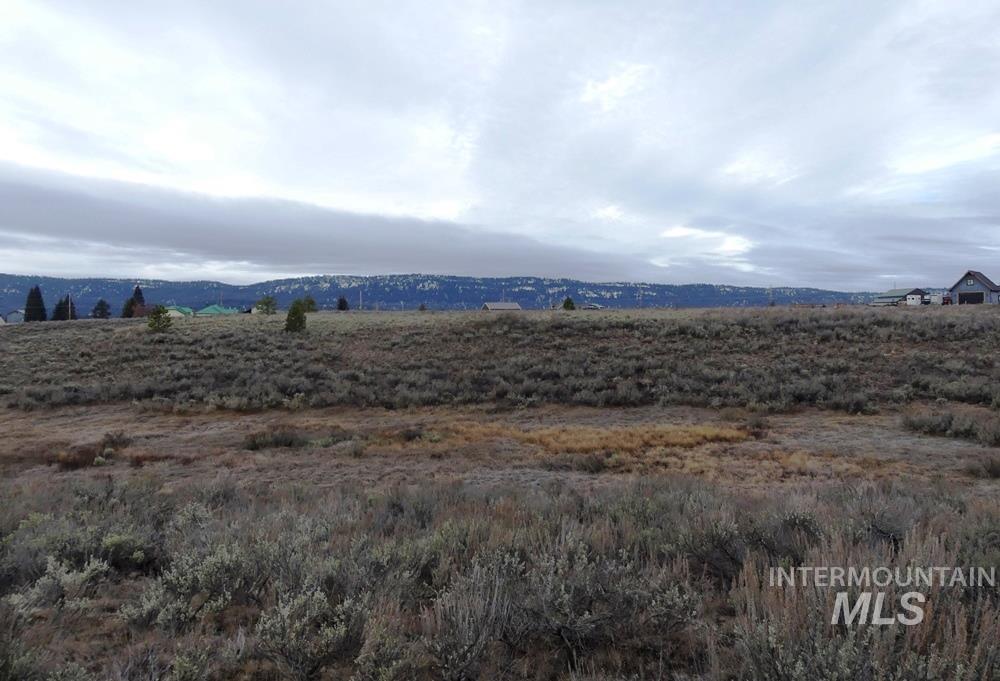 173 Brookdale Drive, McCall, Idaho 83638, Land For Sale, Price $369,000, 98969545