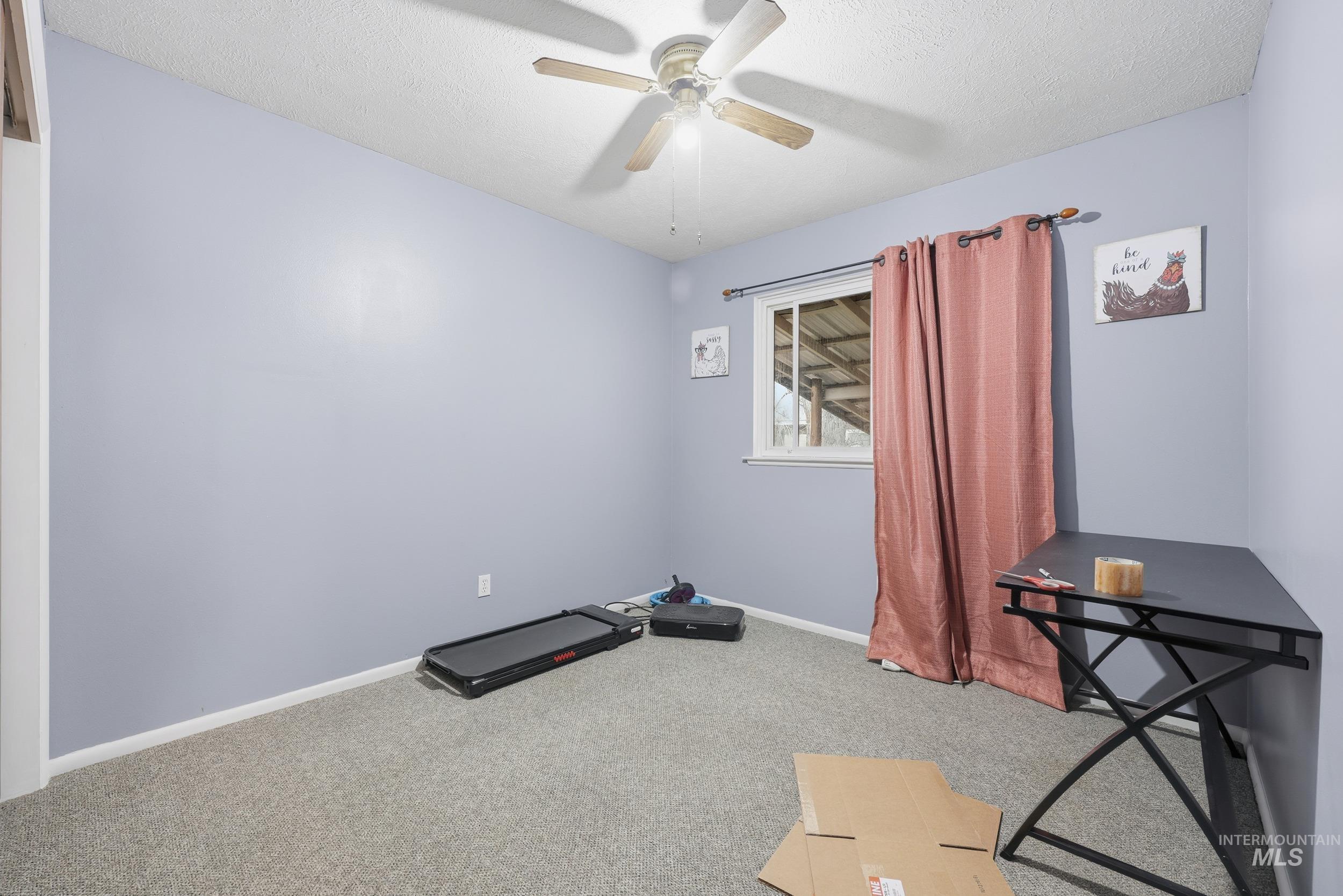 Workout area featuring carpet flooring, a textured ceiling, and ceiling fan