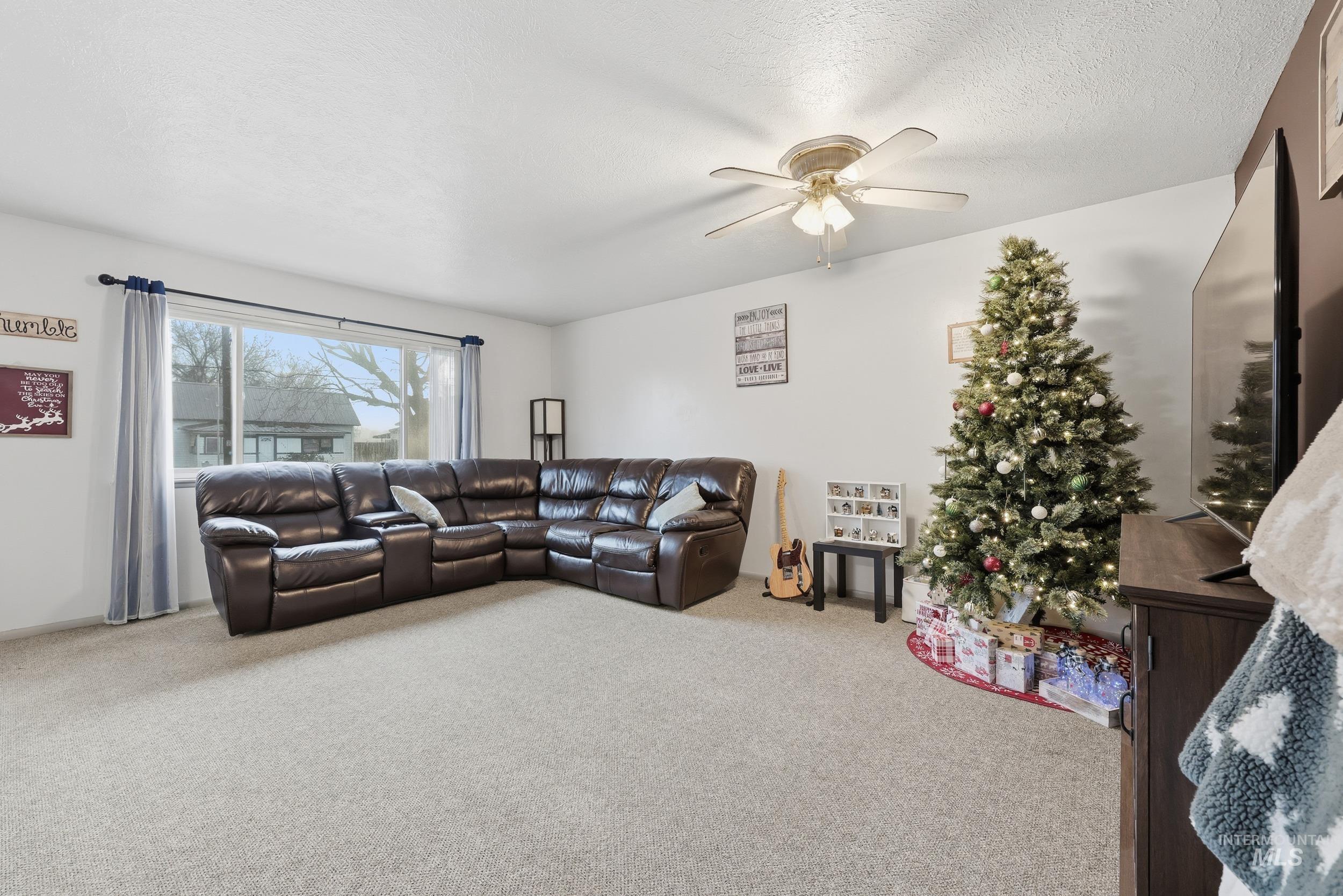 Living area featuring carpet floors, ceiling fan, and a textured ceiling