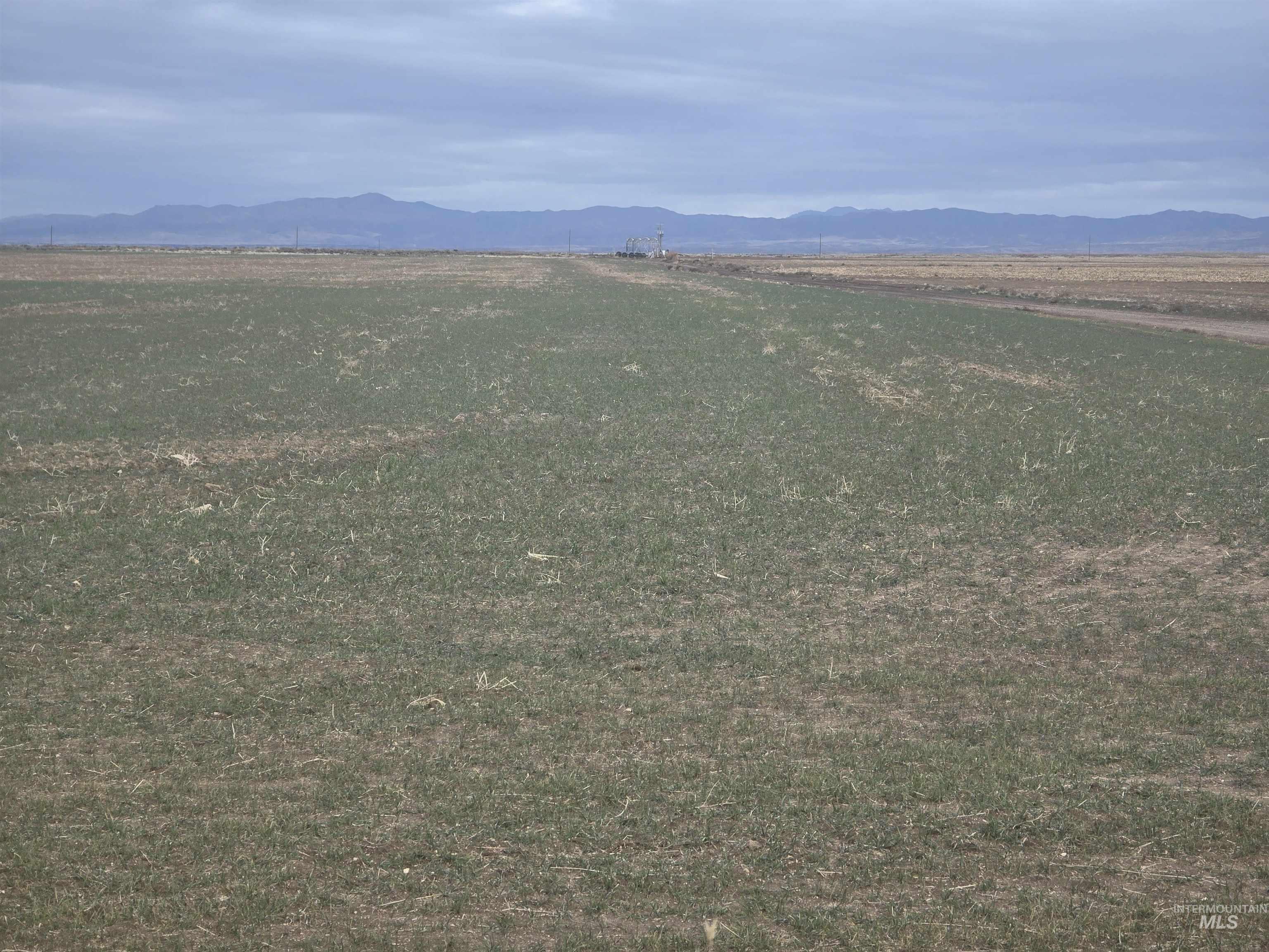 TBD S Cinder Butte Rd, Mountain Home, Idaho 83647, Land For Sale, Price $750,000,MLS 98969558