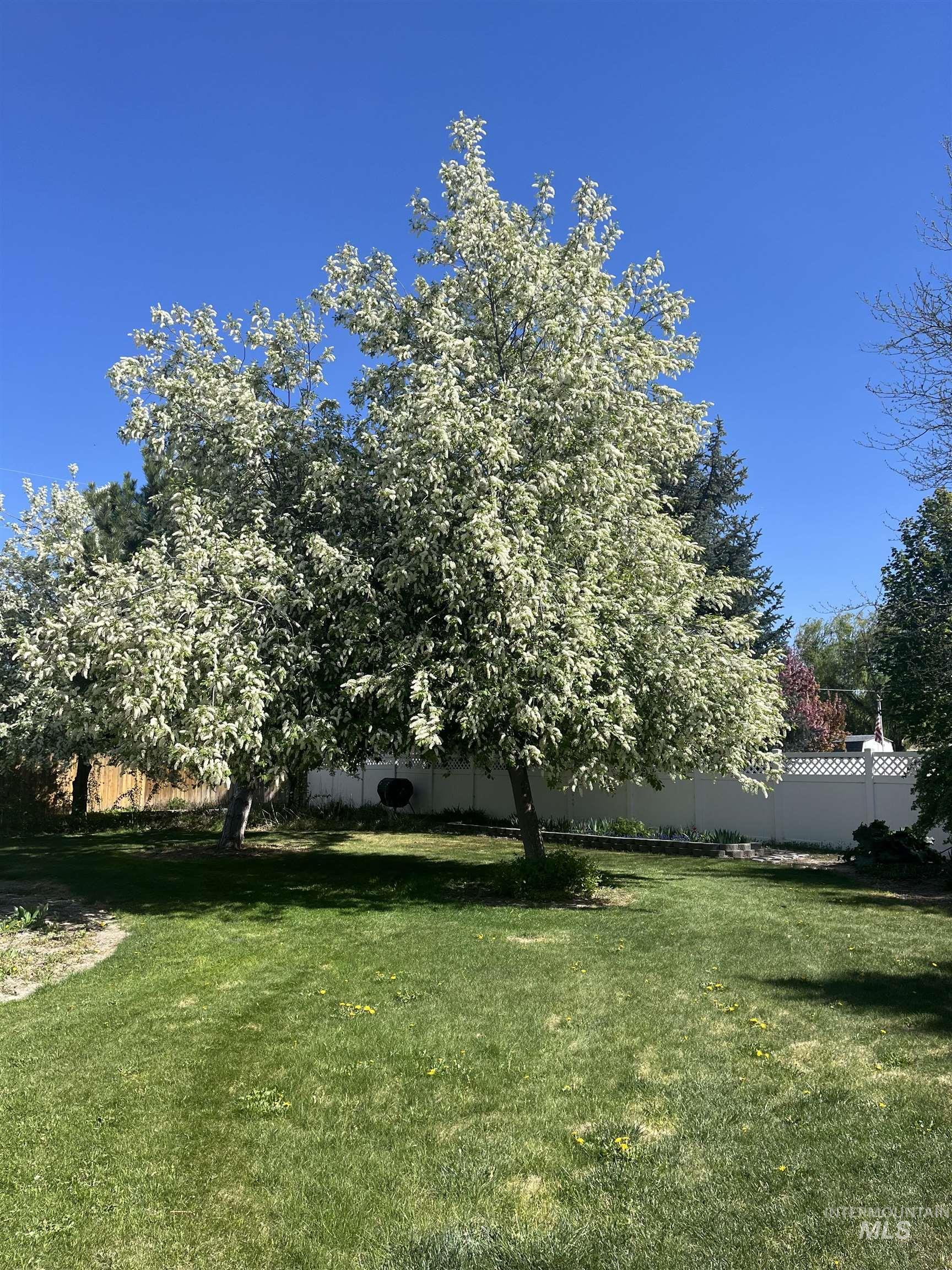 2450 Julie Lane, Twin Falls, Idaho 83301, 4 Bedrooms, 3 Bathrooms, Residential For Sale, Price $675,000, 98969562