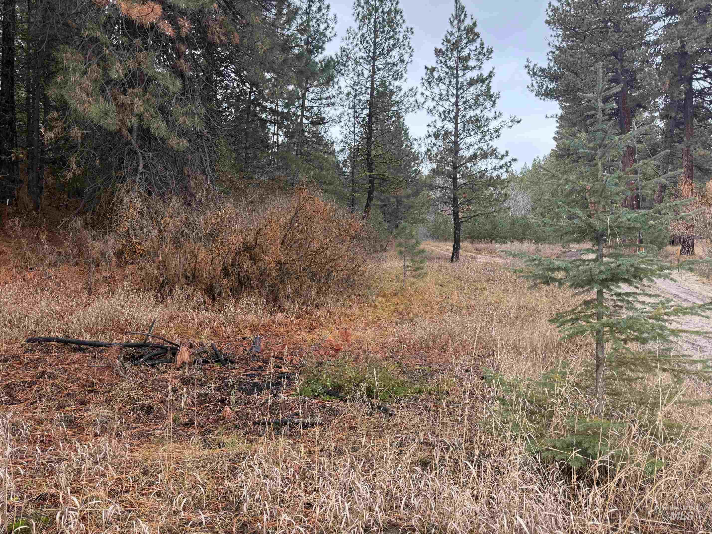 View of undeveloped land