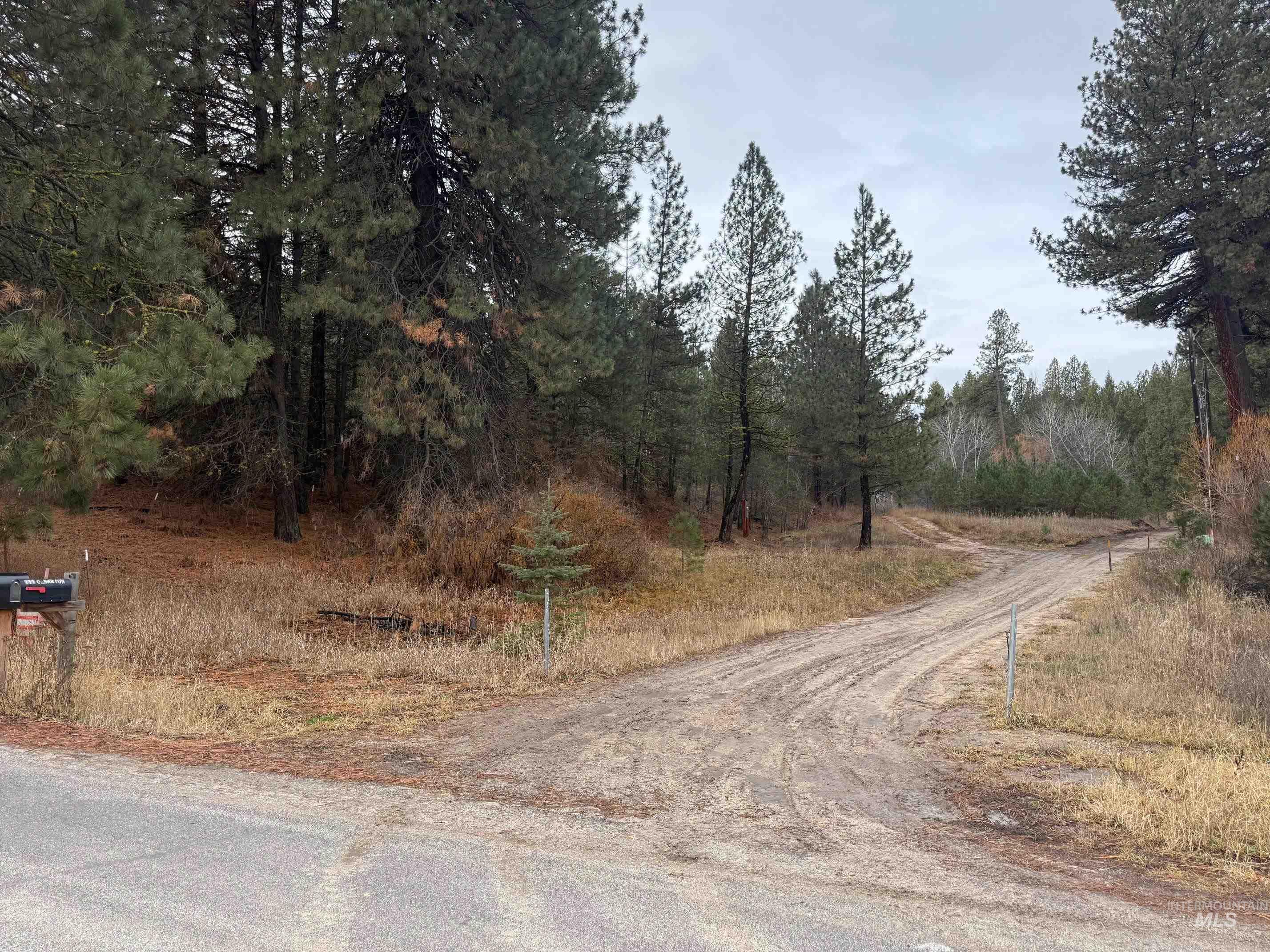View of asphalt road
