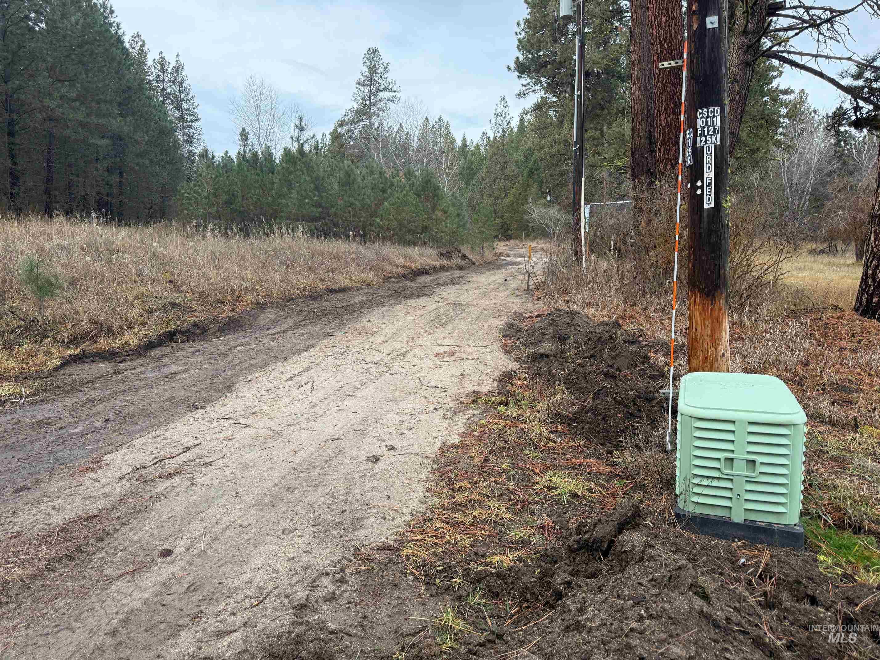 View of dirt / gravel road with a forest view