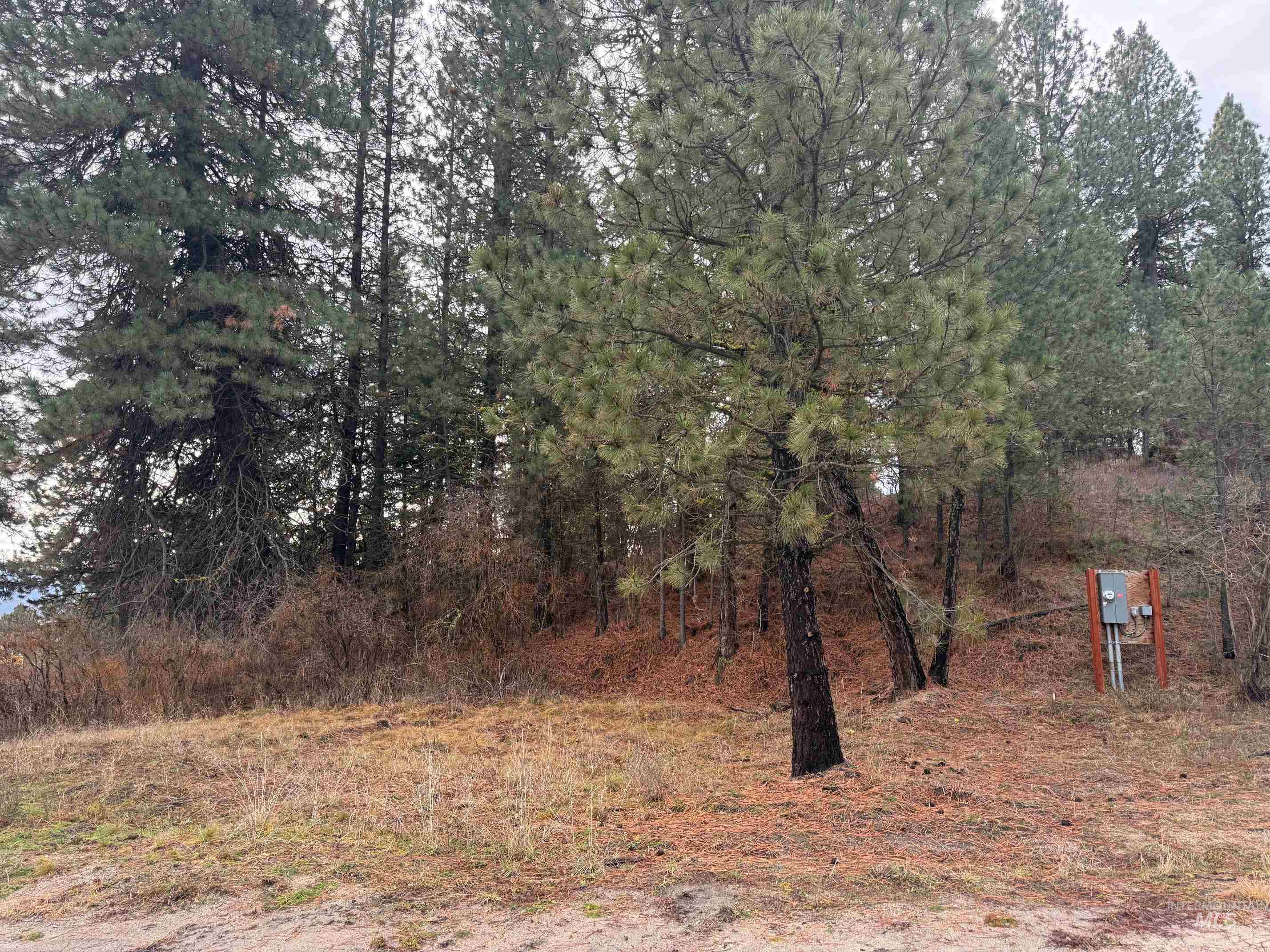 111 Cabarton Road, Cascade, Idaho 83611, Land For Sale, Price $129,900,MLS 98969575