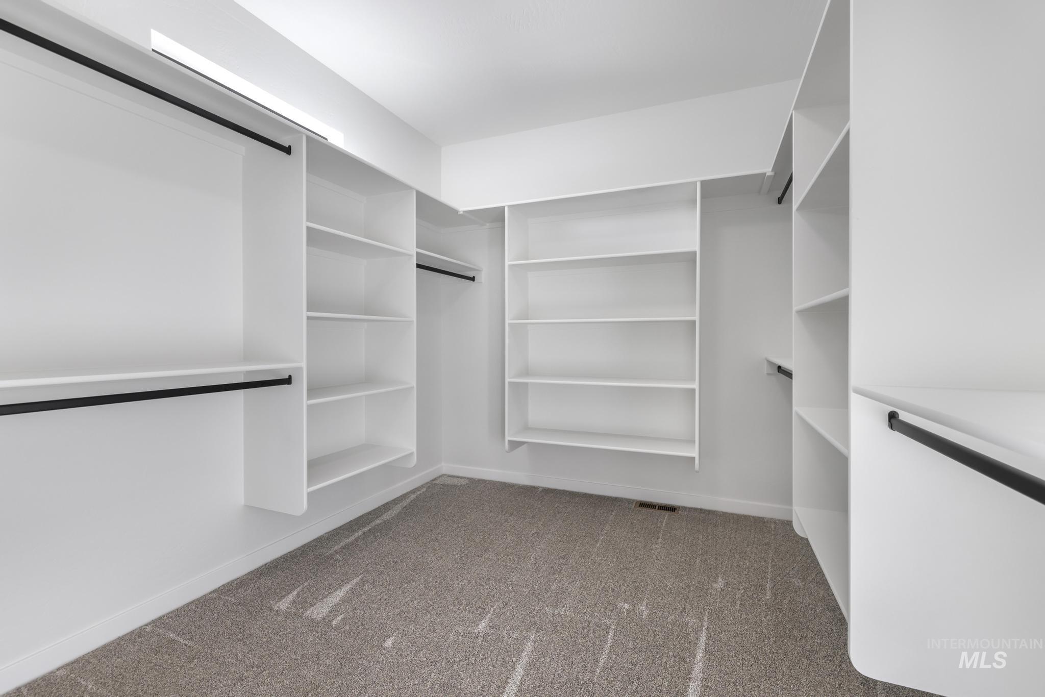 Spacious closet featuring light carpet