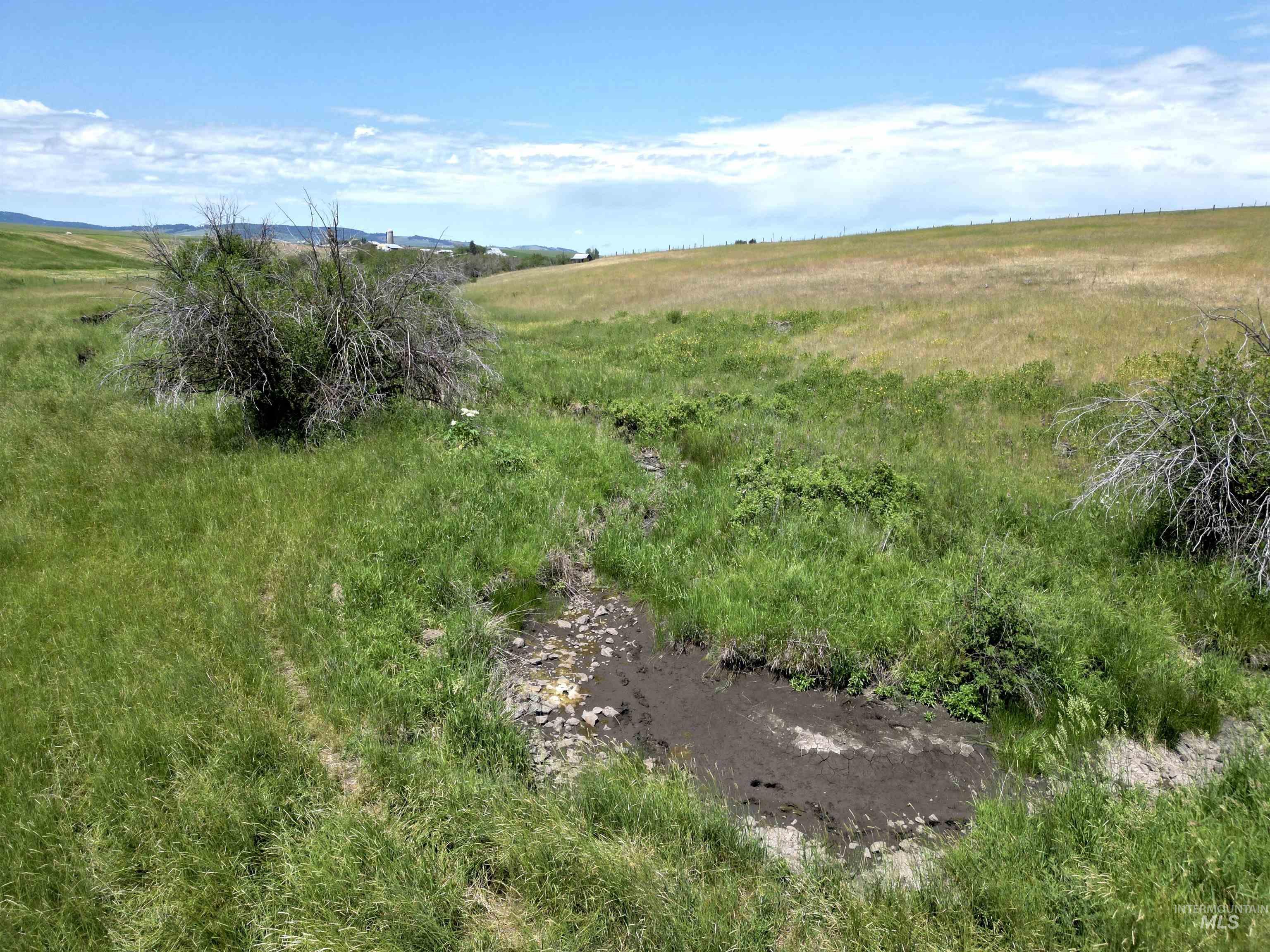 TBD Wasem Road LOT 1, CottonWood, Idaho 83522, Land For Sale, Price $199,000,MLS 98969583