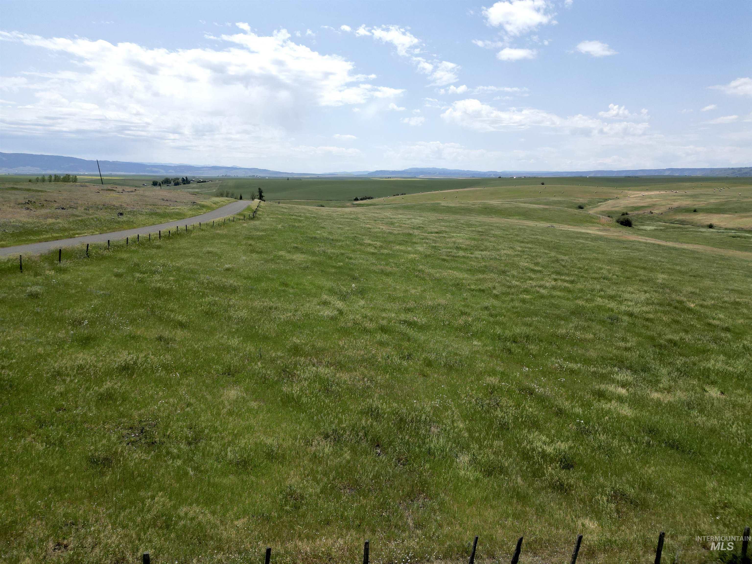 View of green lawn with a rural view