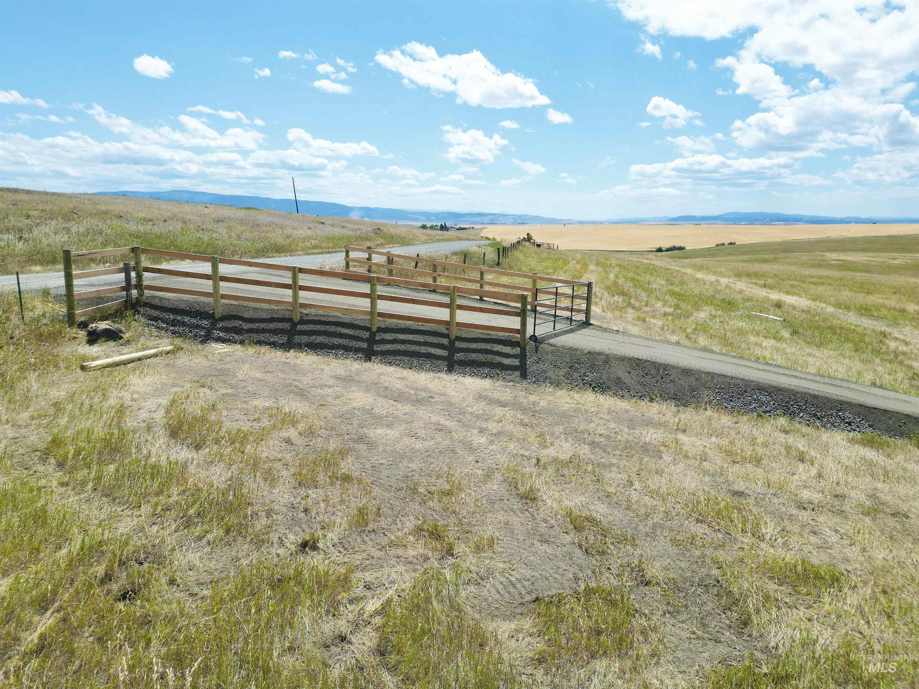 View of yard with a view of rural / pastoral area and a mountain view