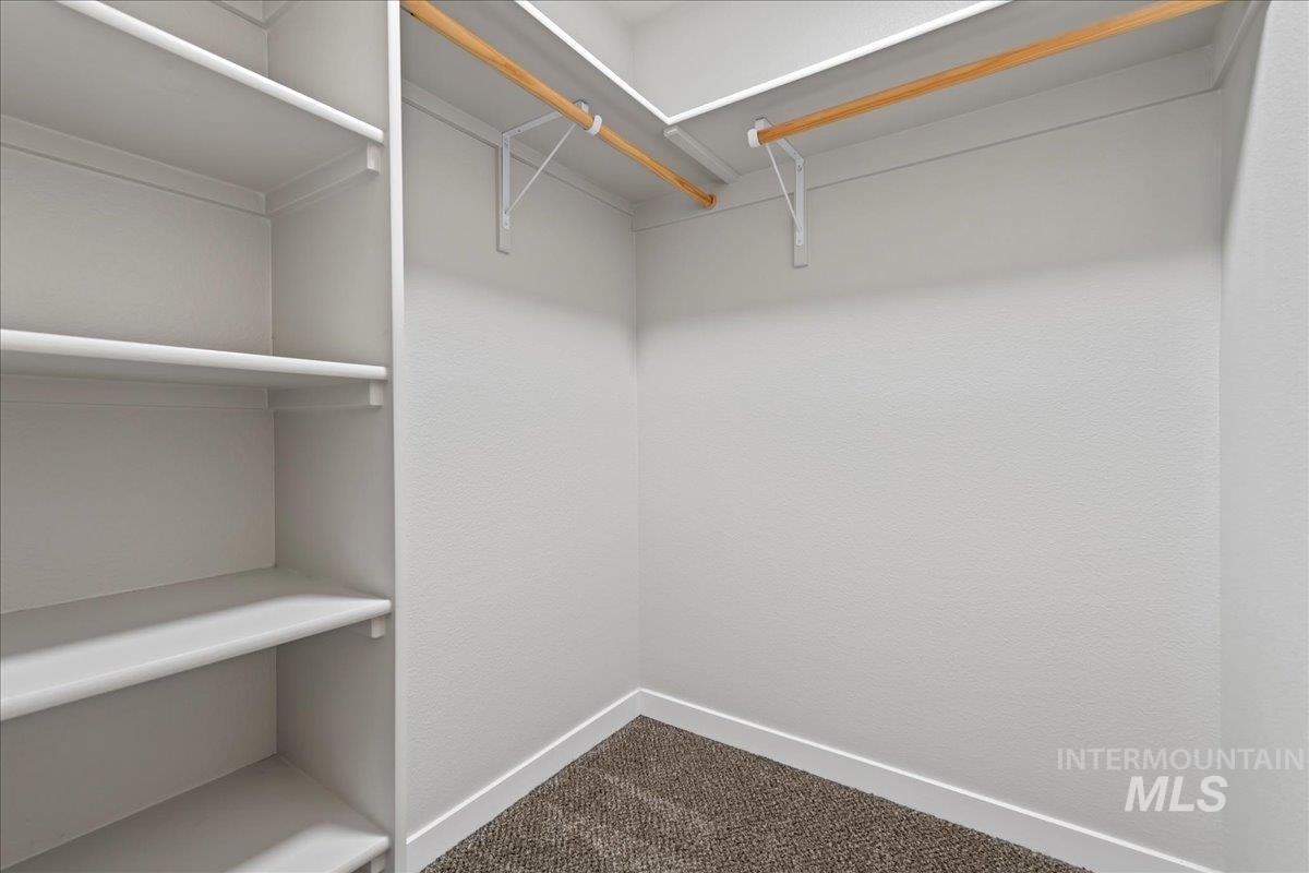 Spacious closet featuring dark carpet