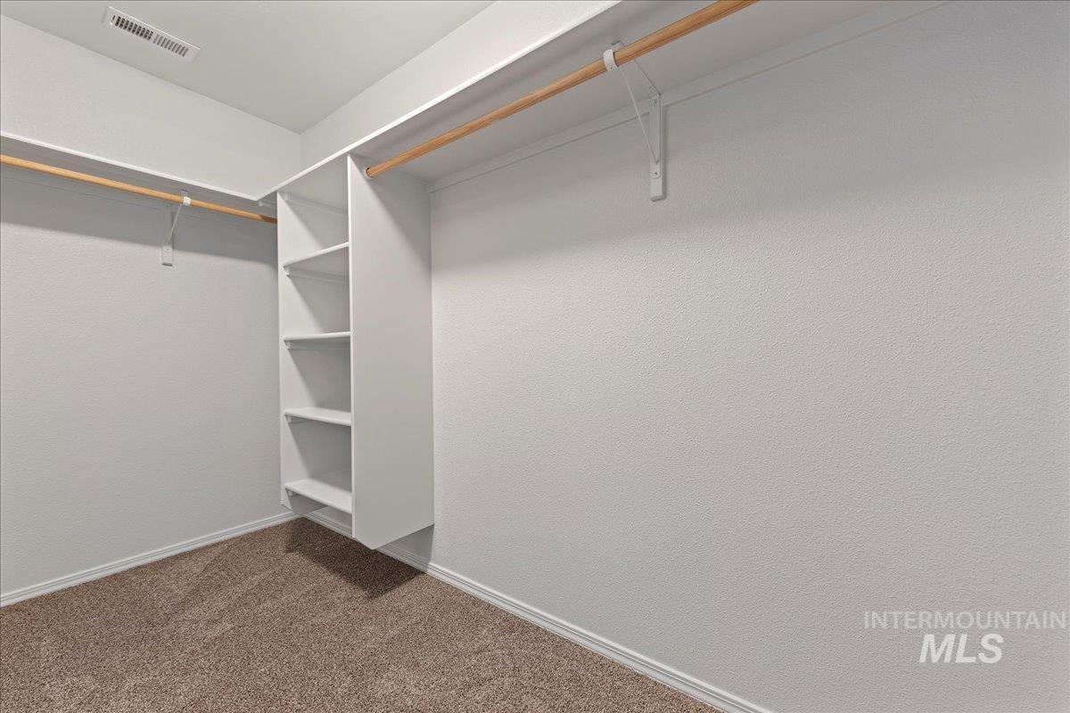 Spacious closet with carpet flooring