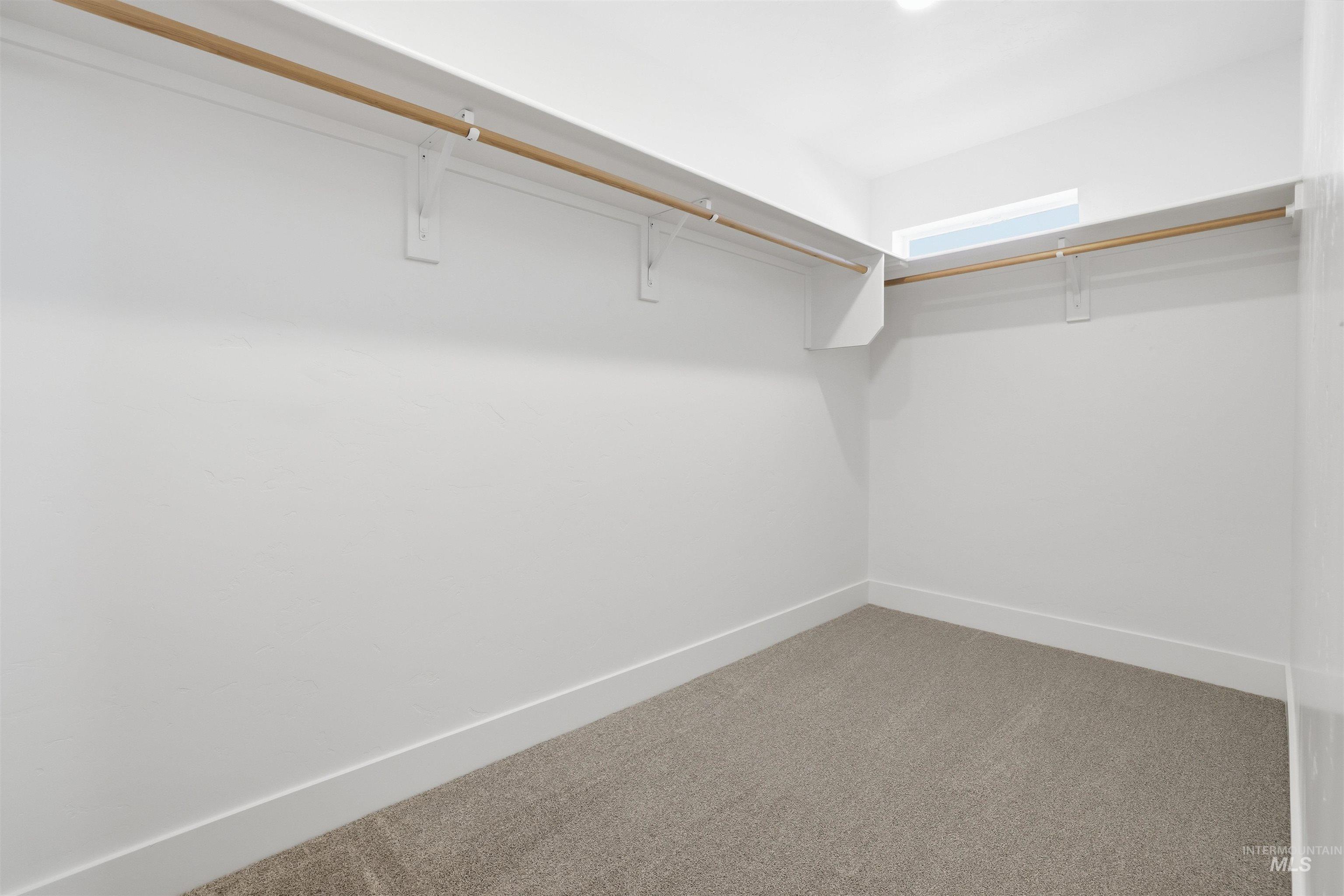 Spacious closet featuring carpet