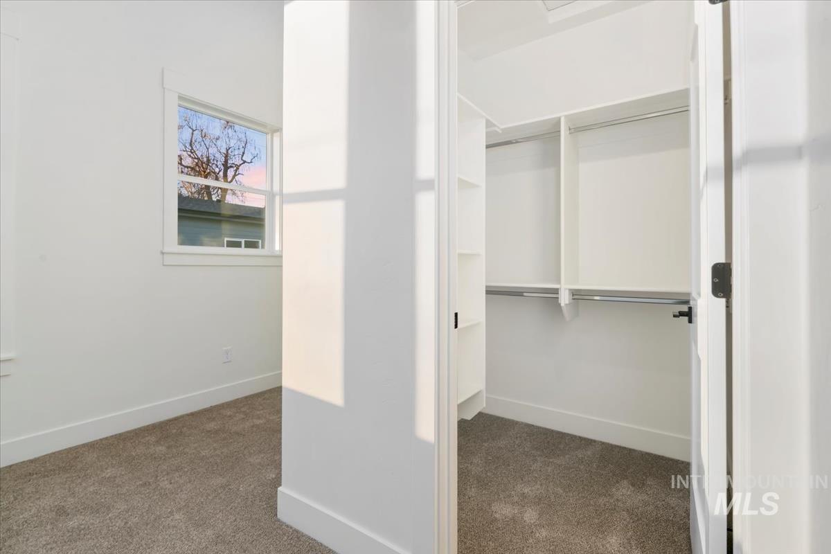 Spacious closet featuring dark carpet