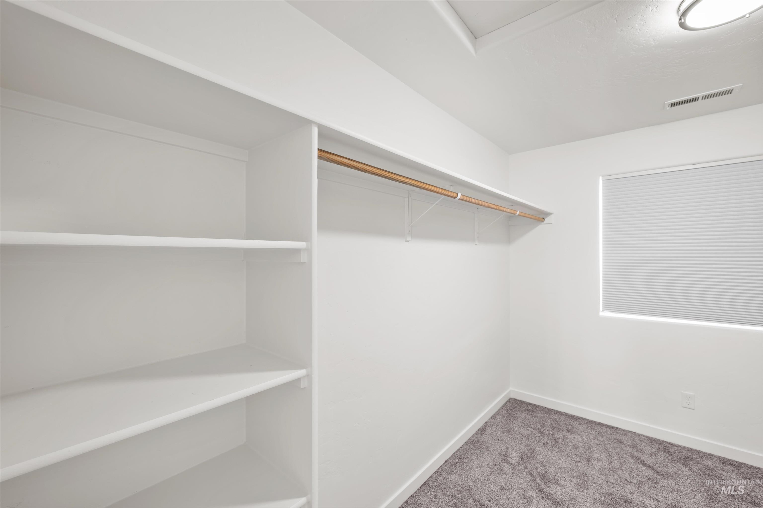 Walk in closet featuring carpet