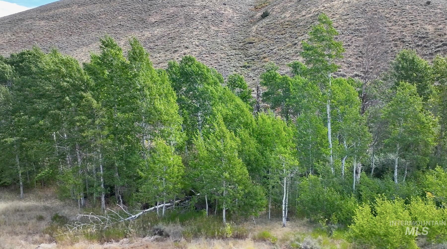 View of mountain background