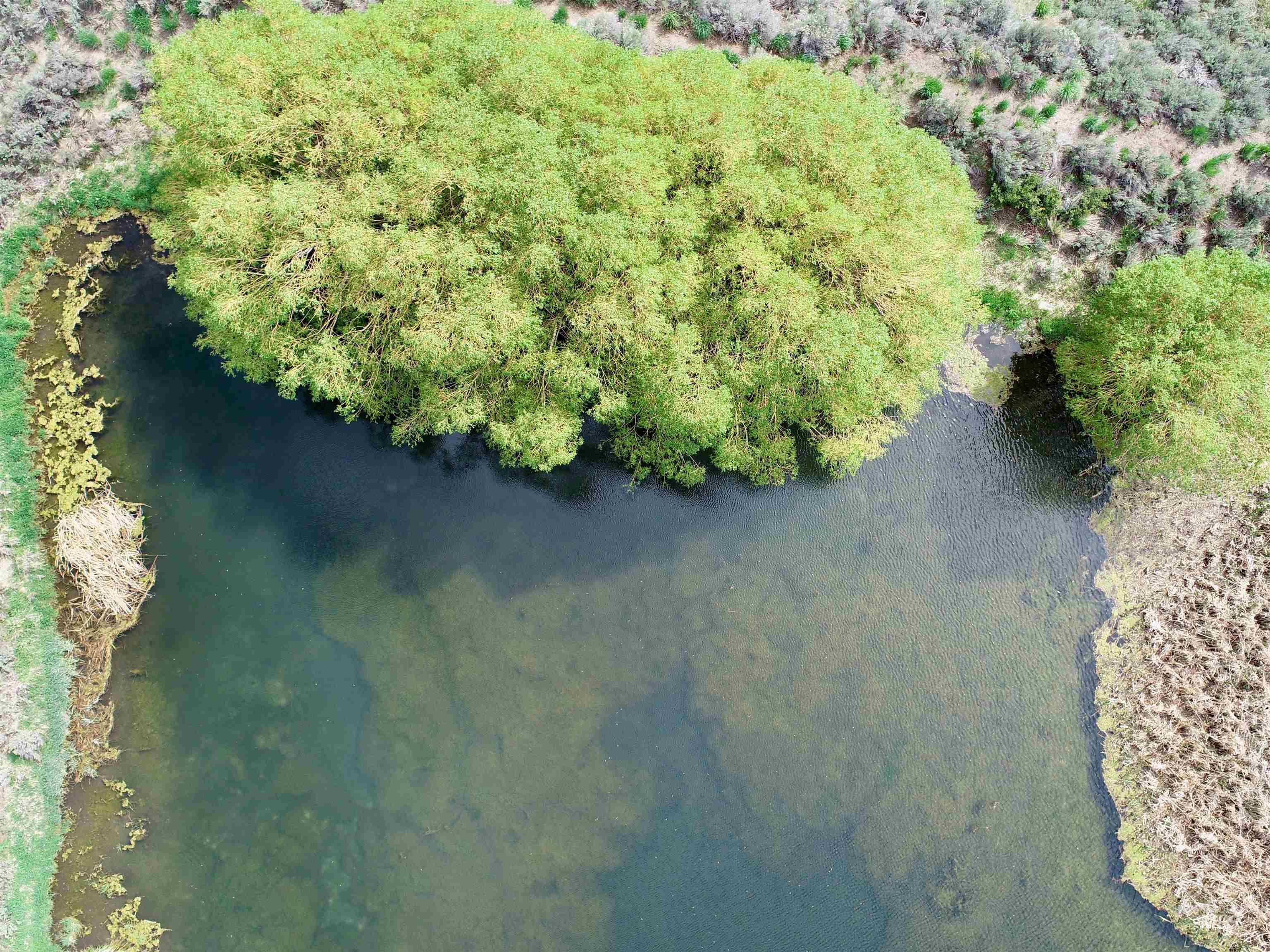 View of property location with a large body of water