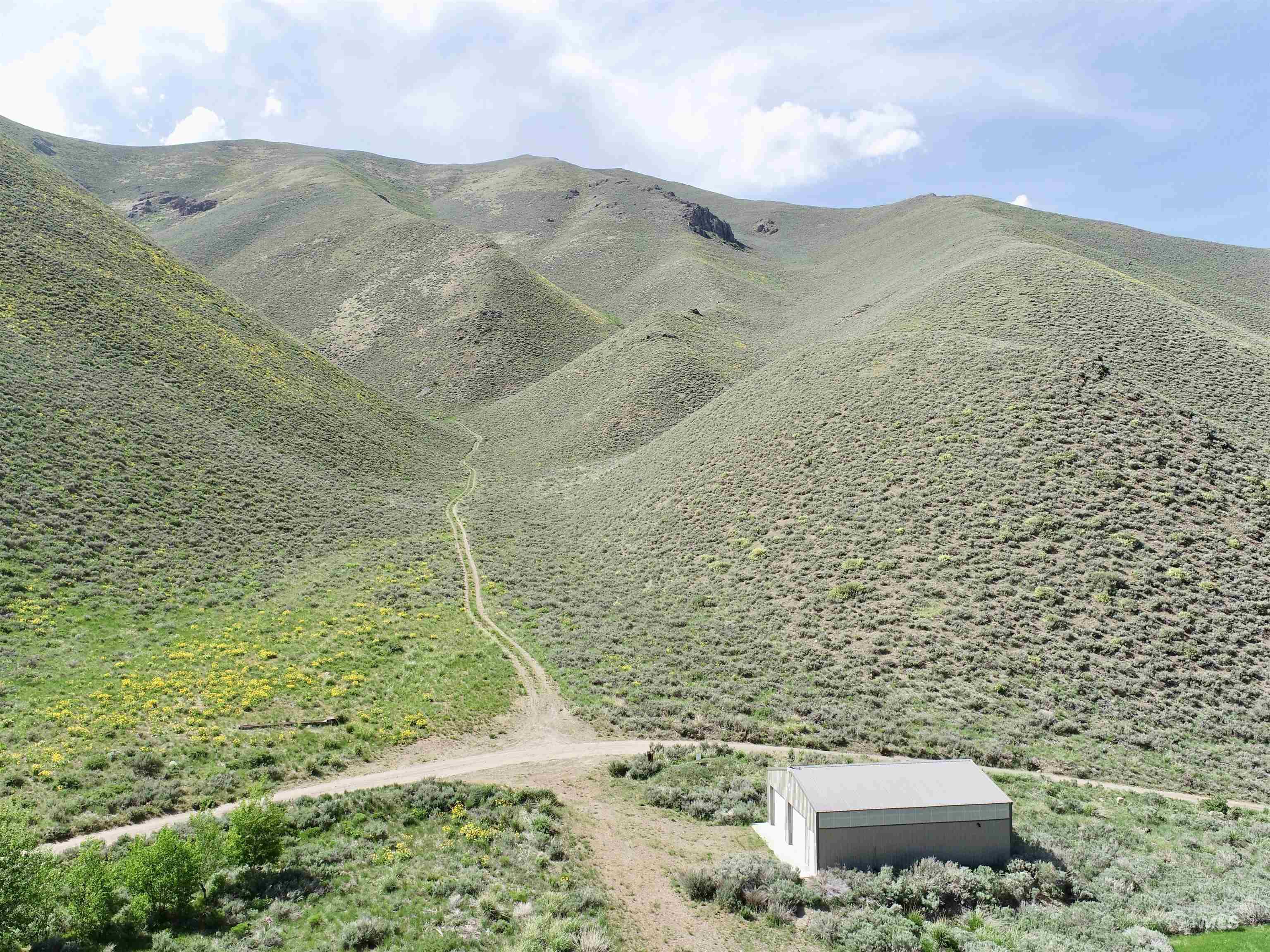 View of mountain background