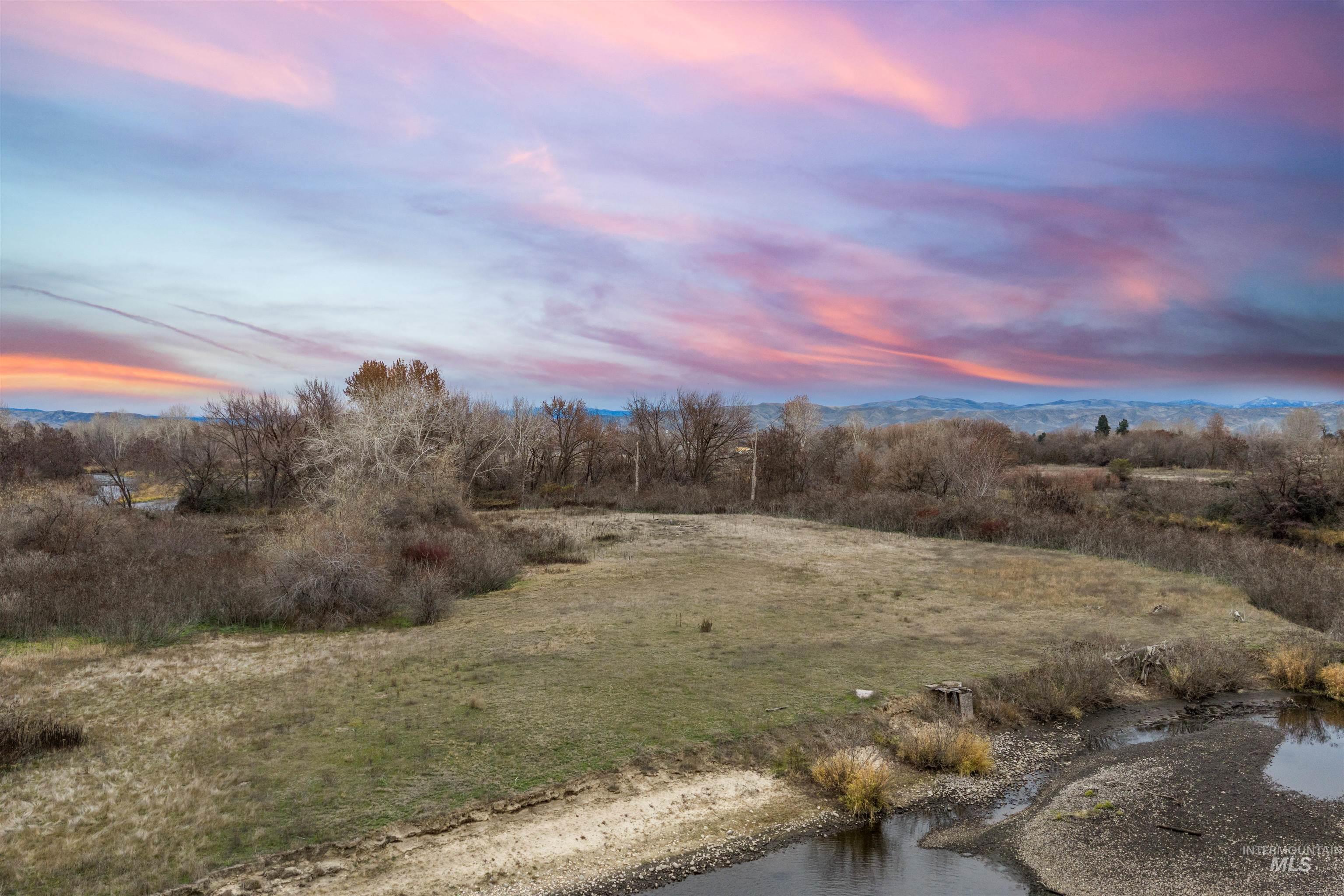 View of local wilderness