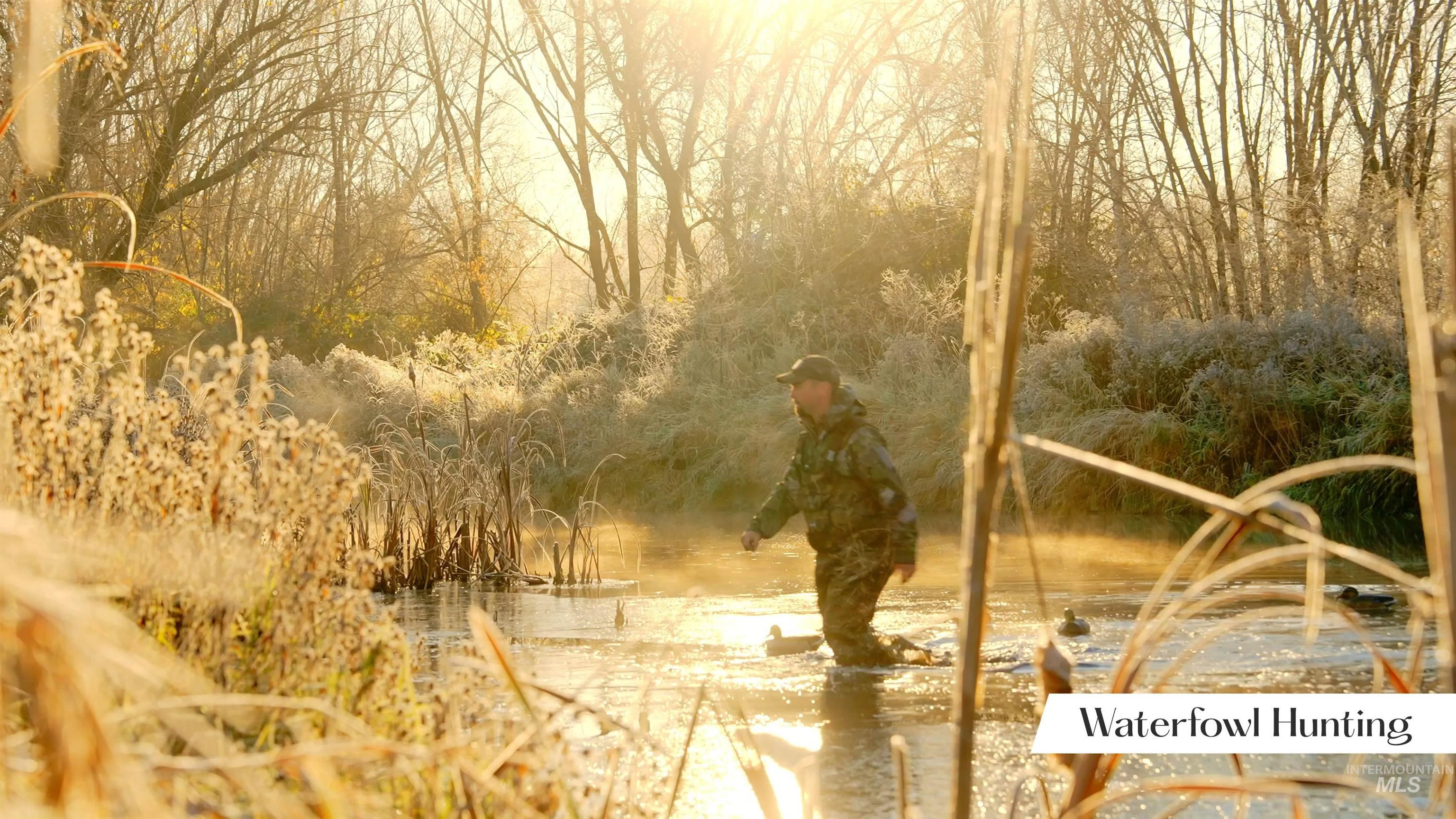 View of undeveloped land