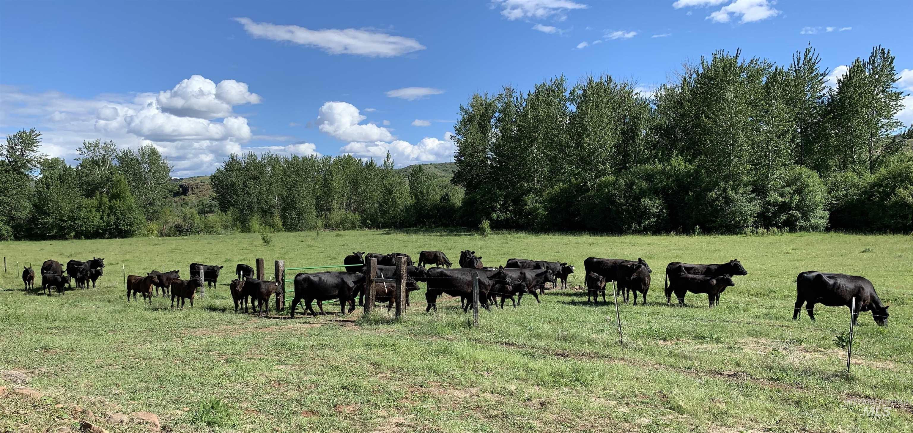 2168 Middle Fork Rd, Council, Idaho 83612, Land For Sale, Price $729,800, 98969639