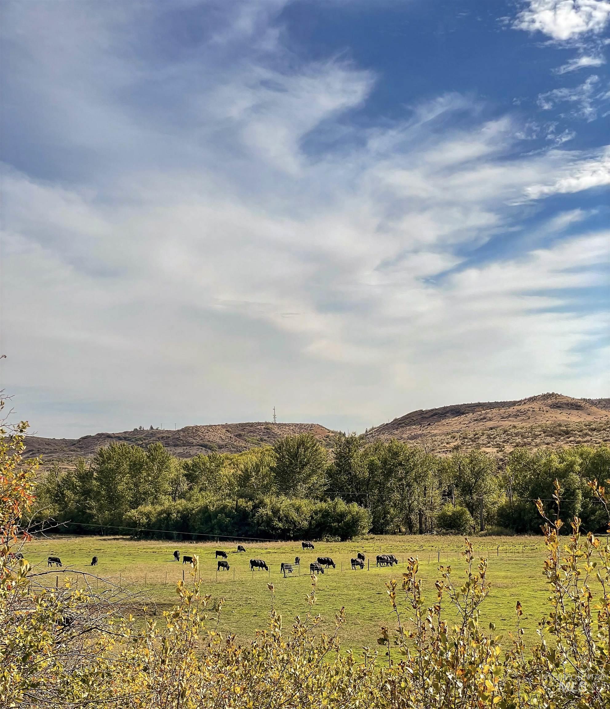 2168 Middle Fork Rd, Council, Idaho 83612, Land For Sale, Price $729,800, 98969639