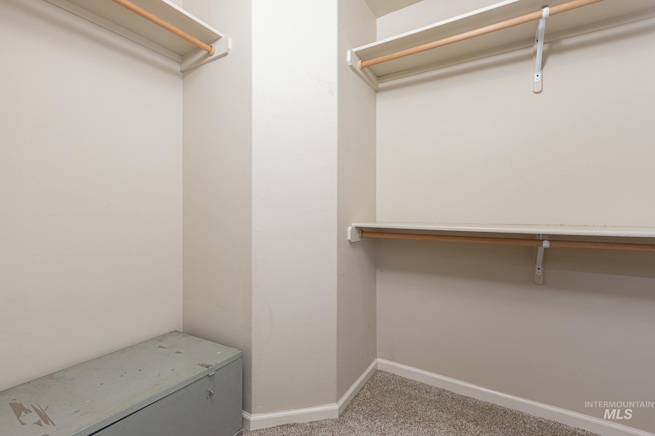 Walk in closet featuring light colored carpet