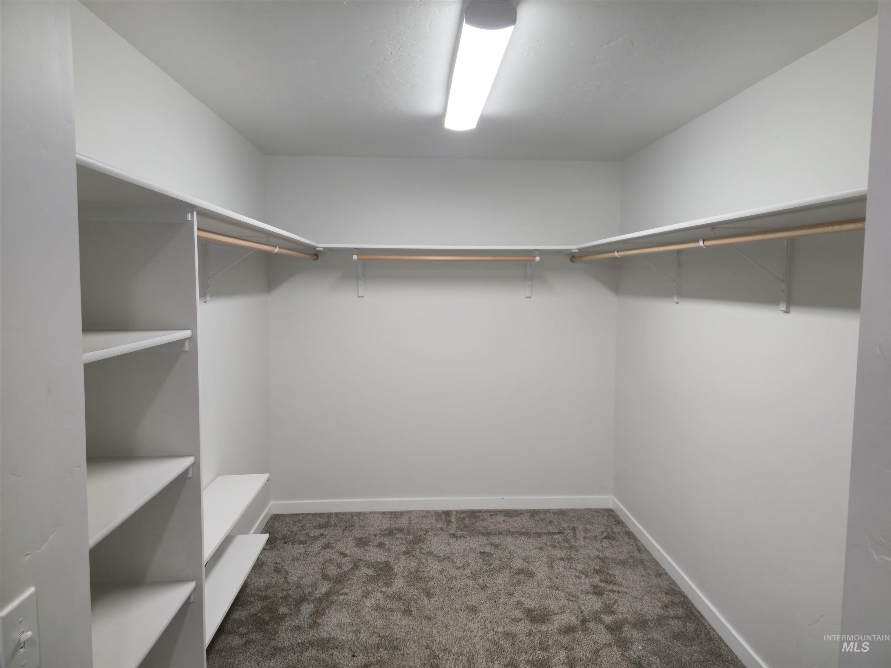 Spacious closet with carpet flooring