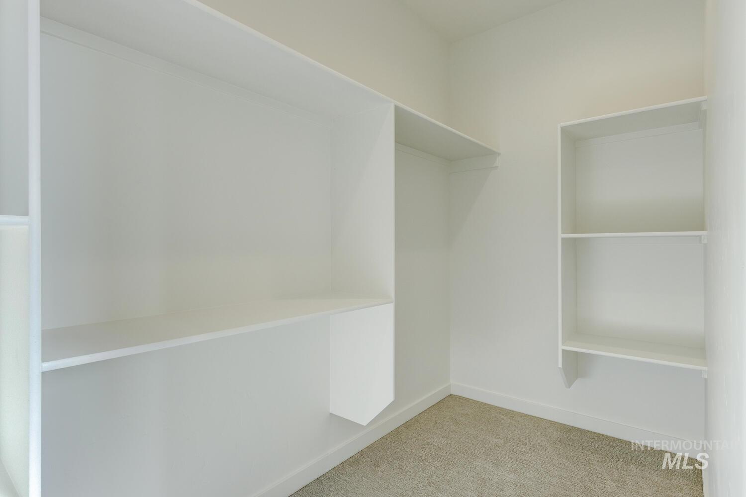 Walk in closet with light colored carpet