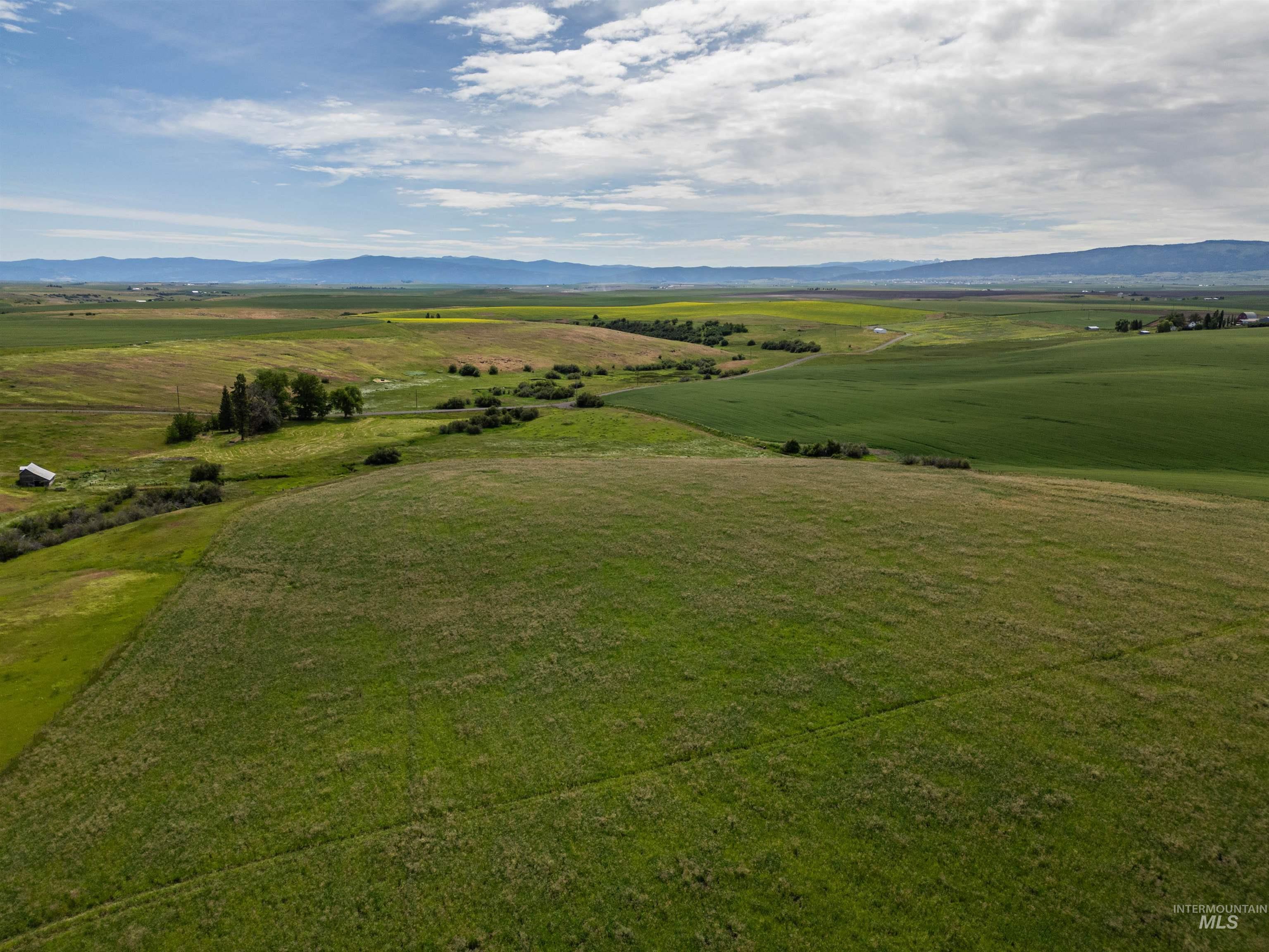 TBD Wasem Road LOT 5, CottonWood, Idaho 83522, Land For Sale, Price $244,000,MLS 98969664