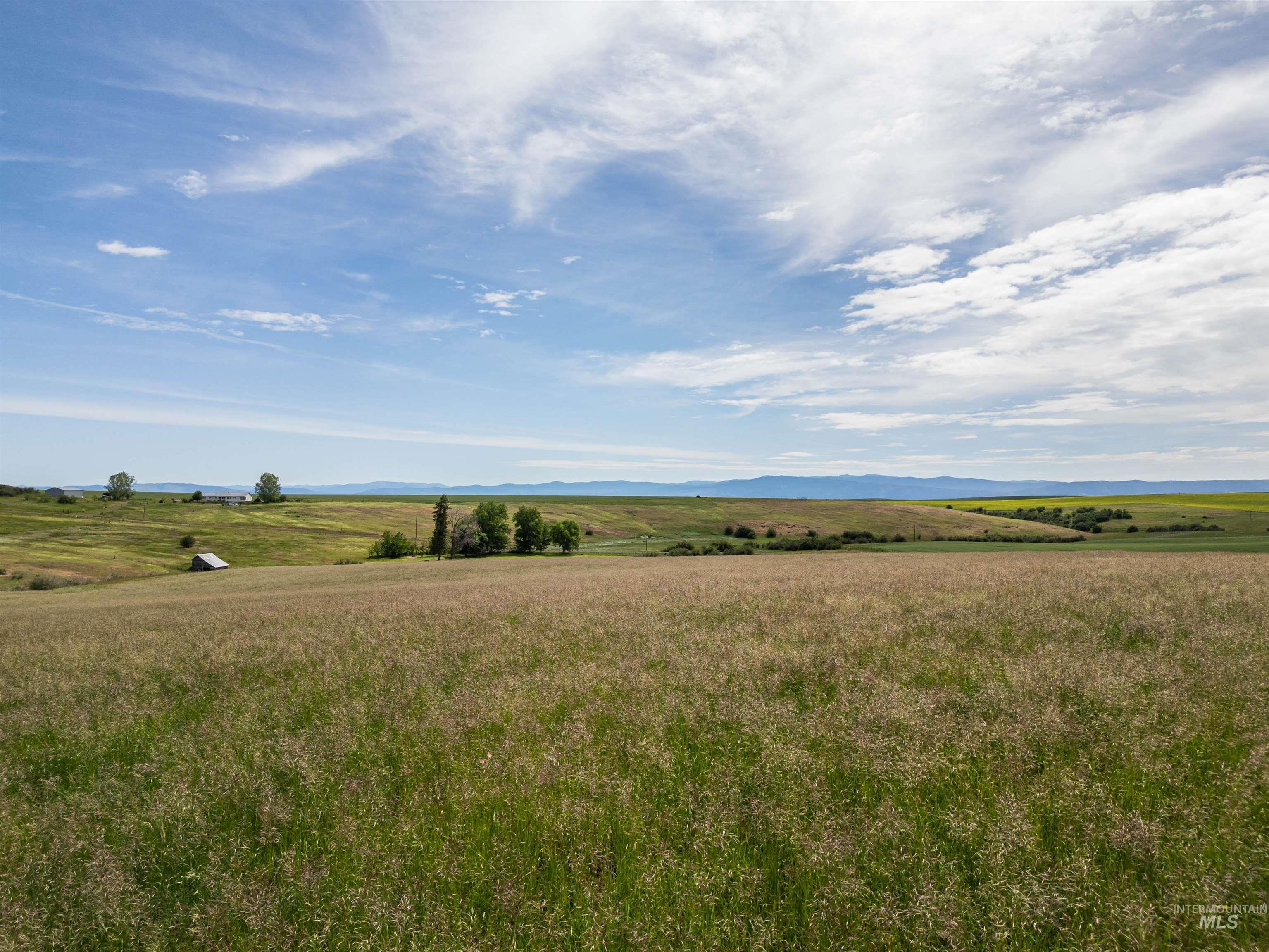 TBD Wasem Road LOT 5, CottonWood, Idaho 83522, Land For Sale, Price $244,000,MLS 98969664
