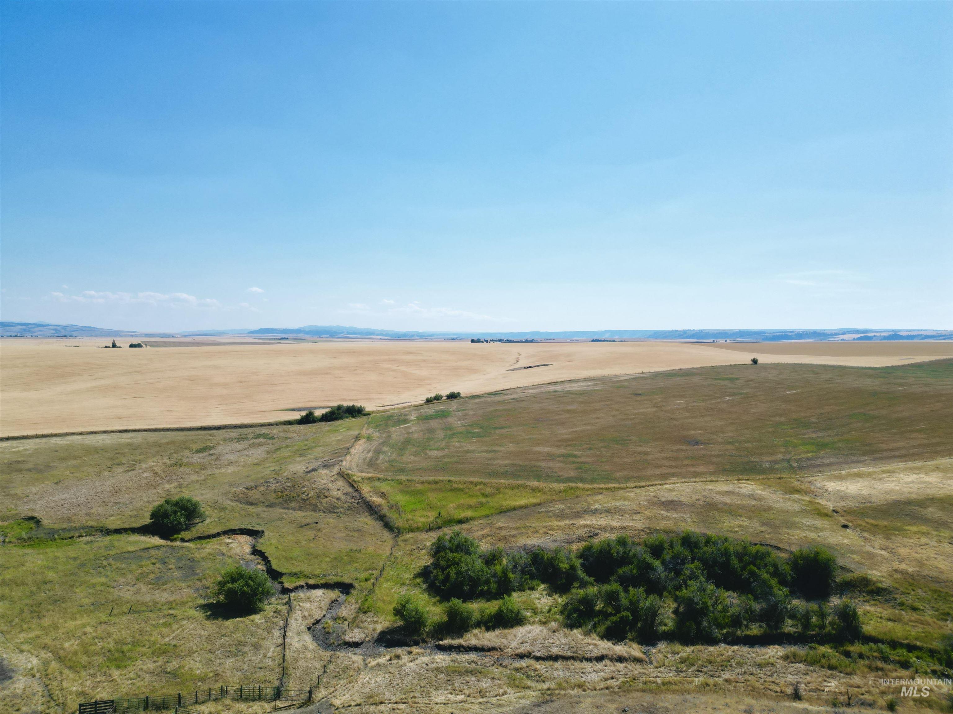 TBD Wasem Road LOT 5, CottonWood, Idaho 83522, Land For Sale, Price $249,000,MLS 98969664