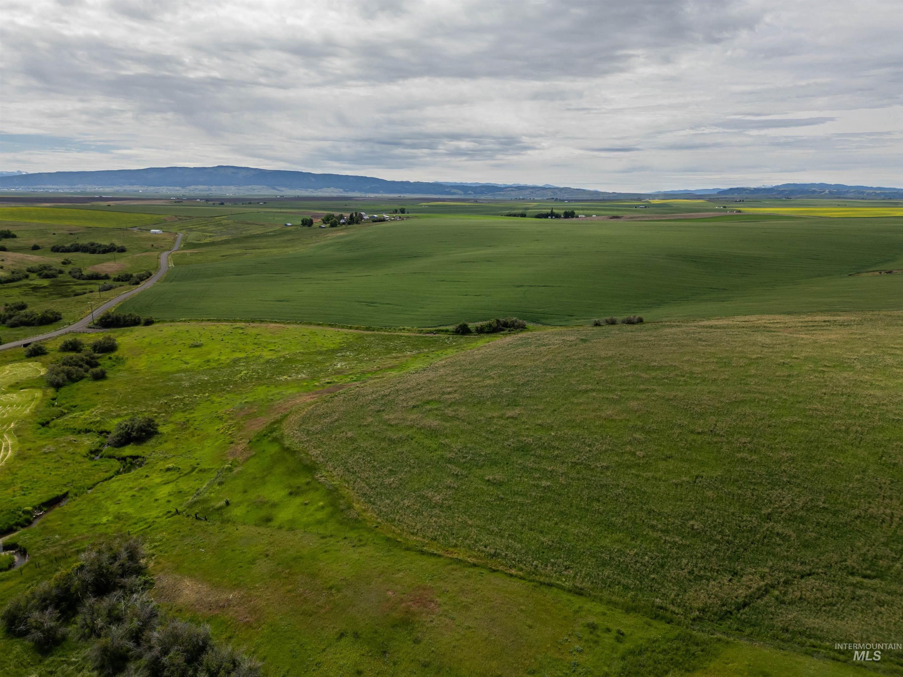 TBD Wasem Road LOT 5, CottonWood, Idaho 83522, Land For Sale, Price $244,000,MLS 98969664