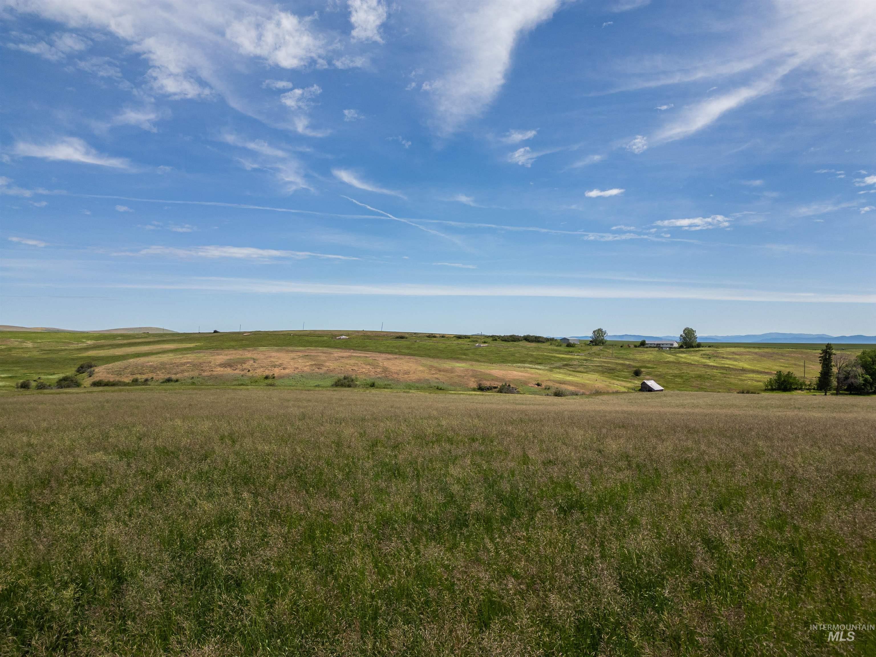 TBD Wasem Road LOT 5, CottonWood, Idaho 83522, Land For Sale, Price $244,000,MLS 98969664