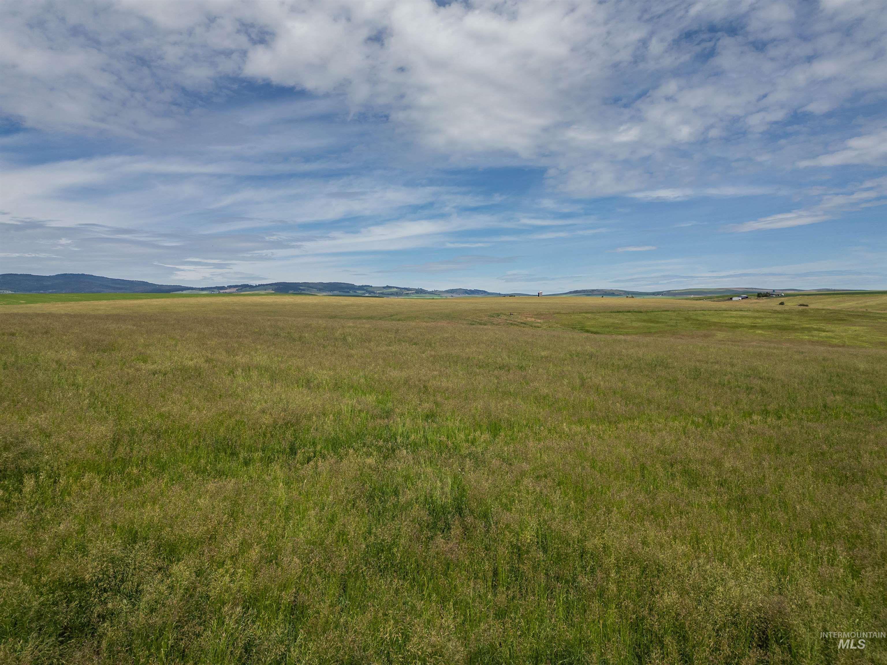 TBD Wasem Road LOT 5, CottonWood, Idaho 83522, Land For Sale, Price $244,000,MLS 98969664