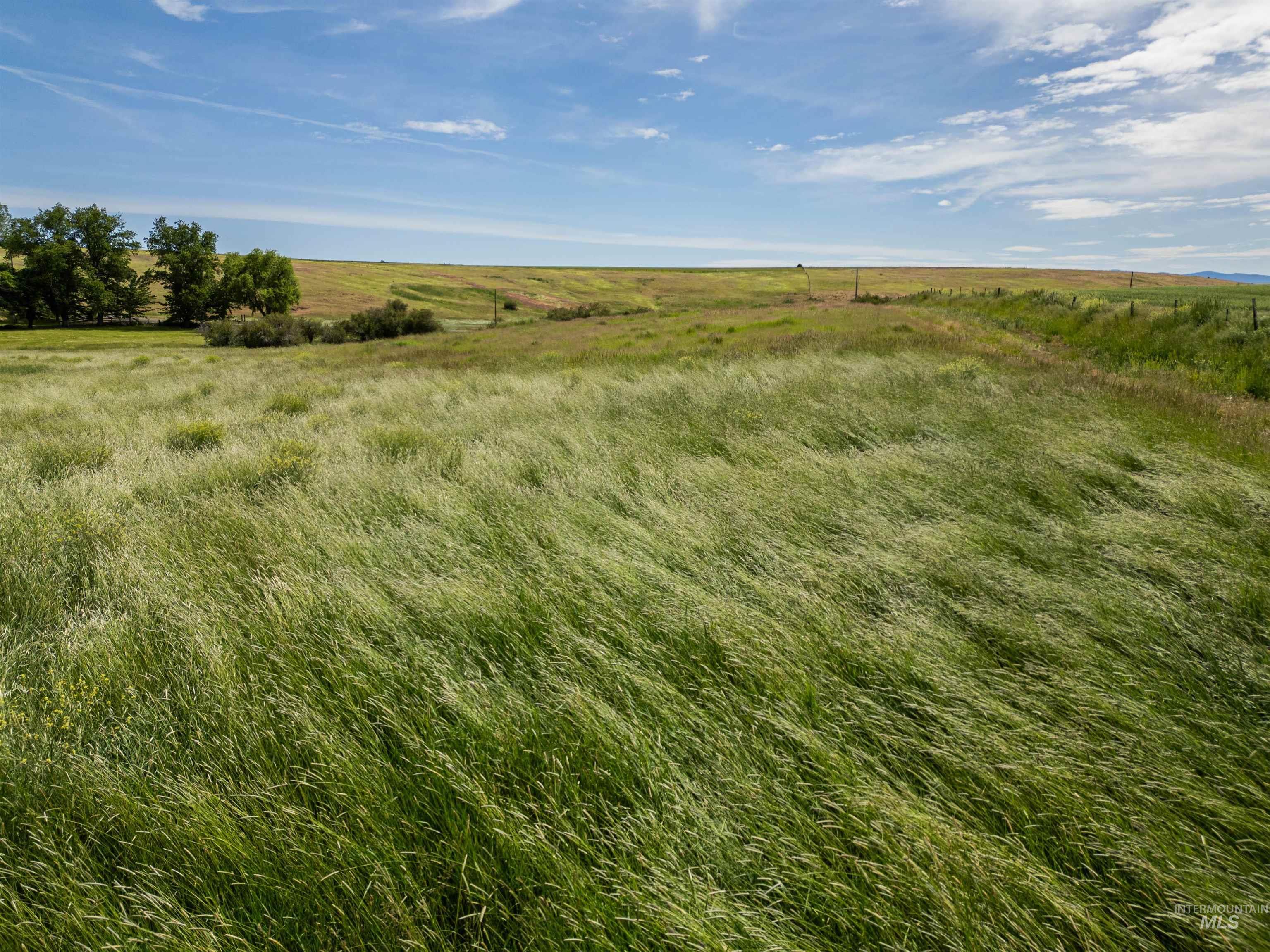 TBD Wasem Road LOT 5, CottonWood, Idaho 83522, Land For Sale, Price $244,000,MLS 98969664