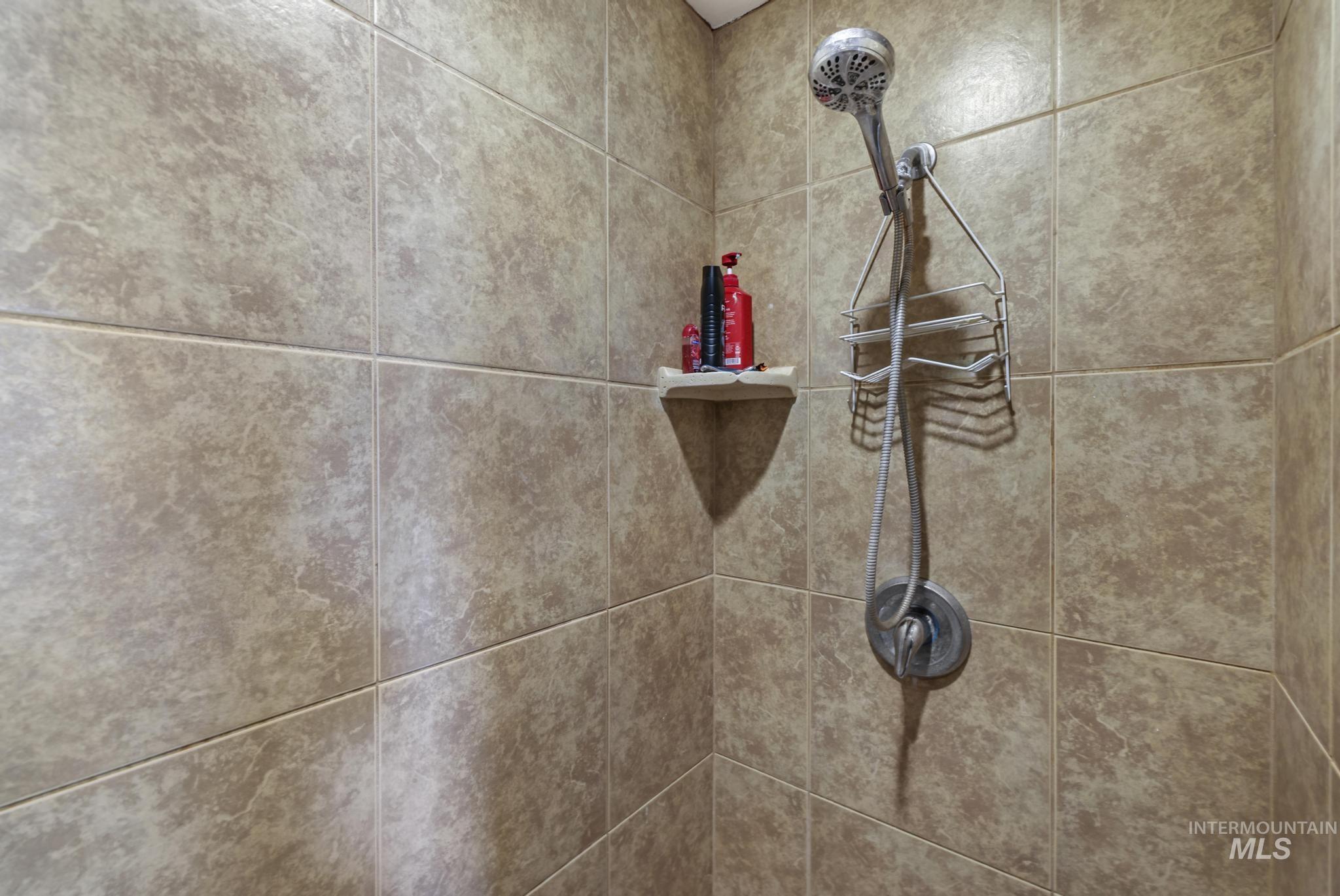 Bathroom view of a tile shower