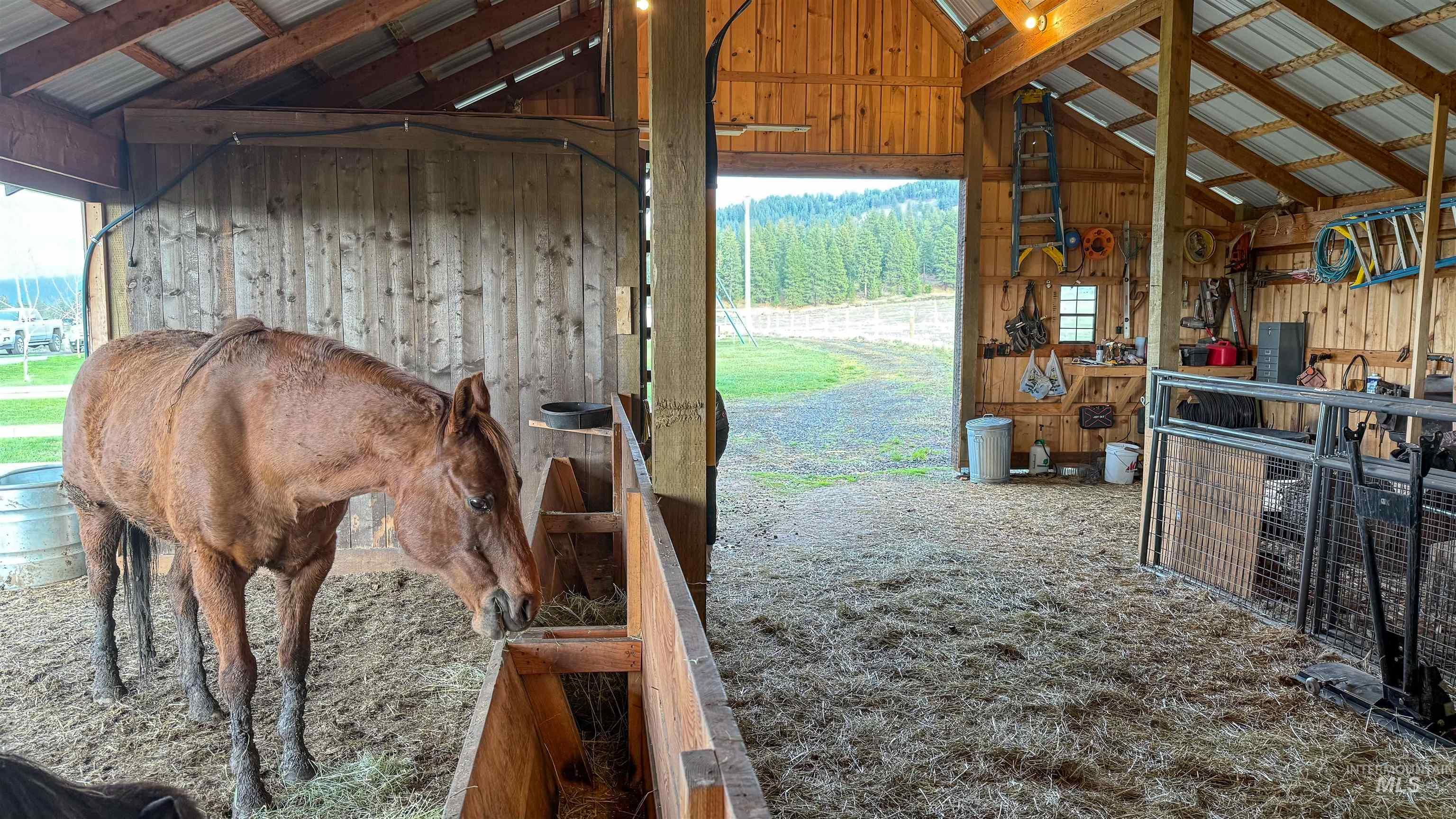 862 Whitetail Drive, Grangeville, Idaho 83530, 4 Bedrooms, 2 Bathrooms, Residential For Sale, Price $749,000, 98969698