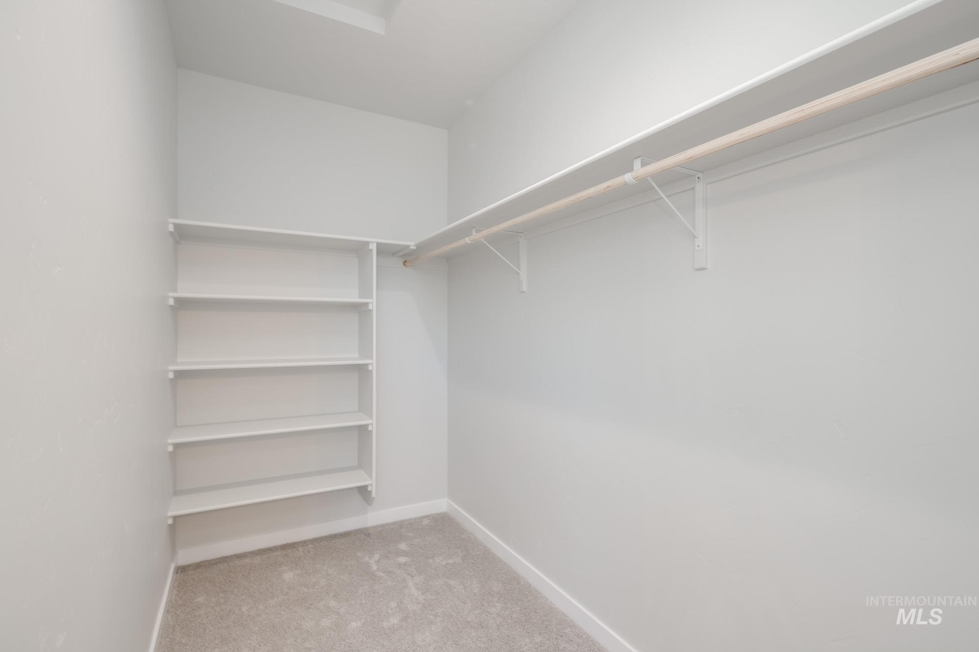 Walk in closet featuring light carpet