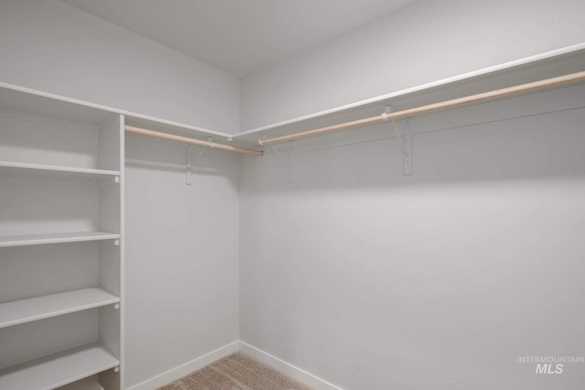 Spacious closet featuring light colored carpet
