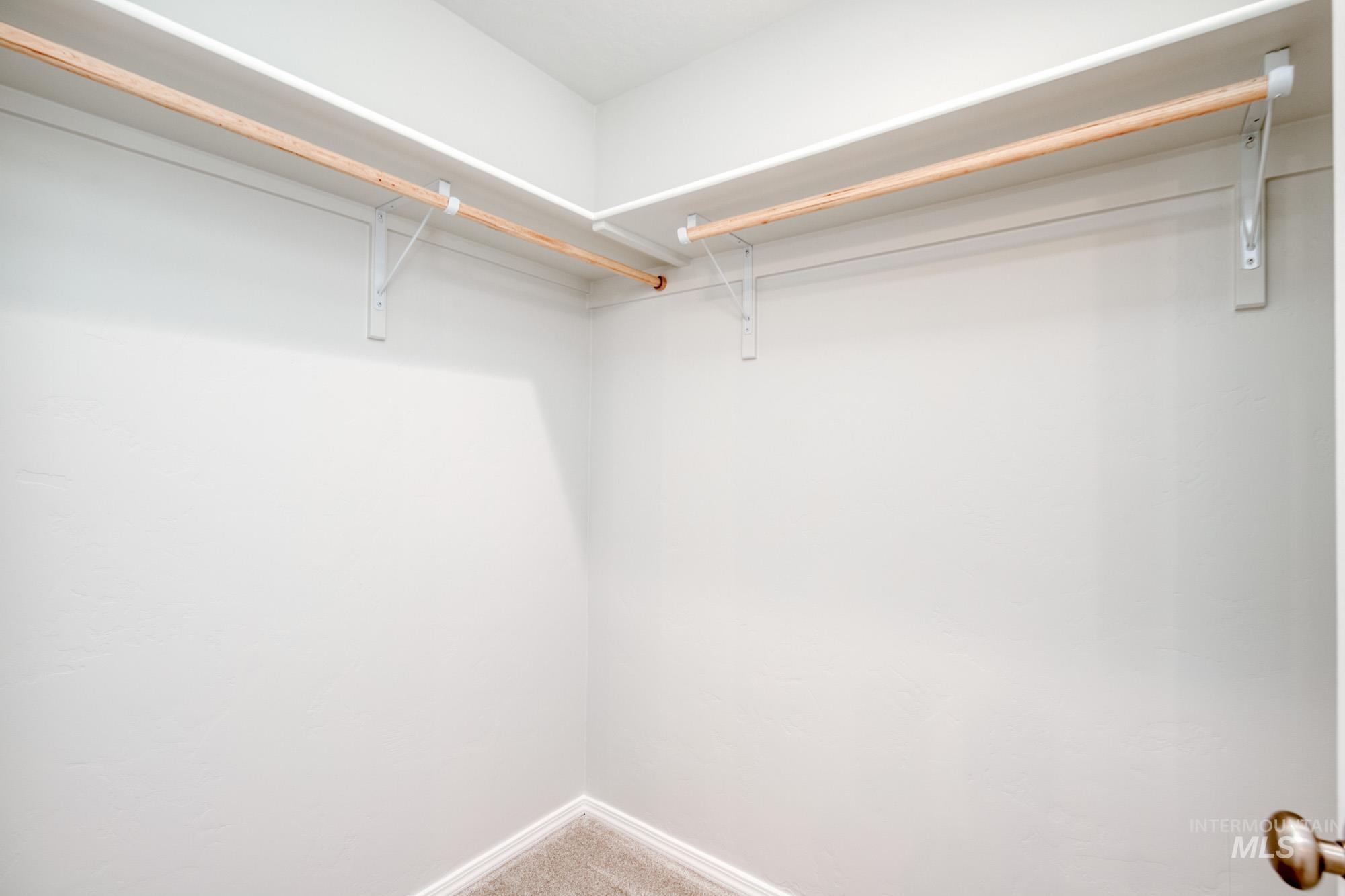 Walk in closet with carpet floors