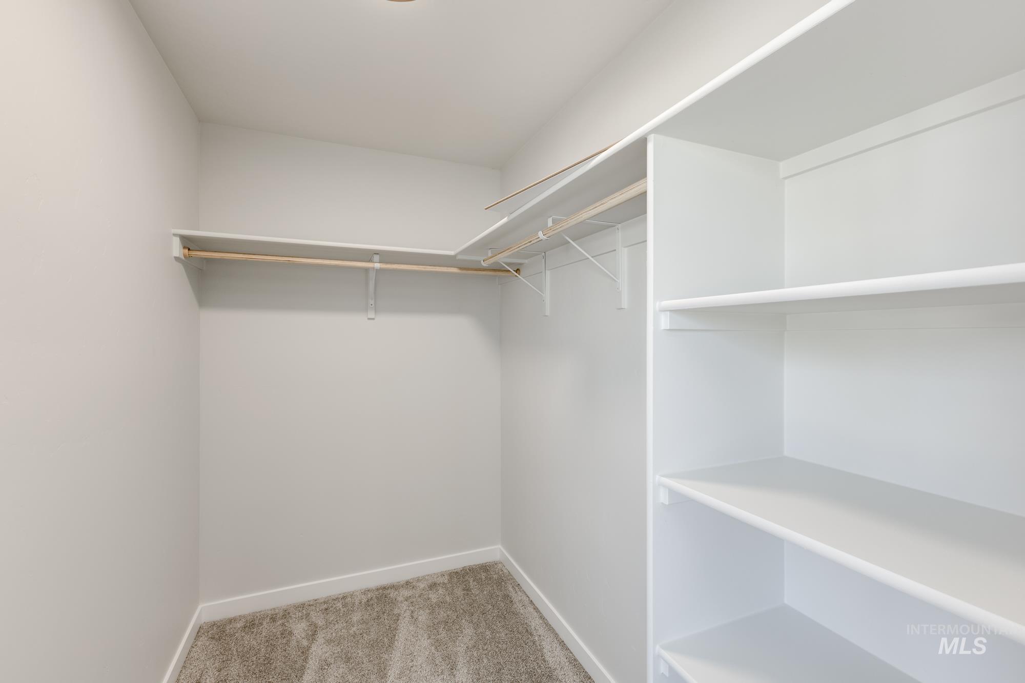 Spacious closet featuring light colored carpet