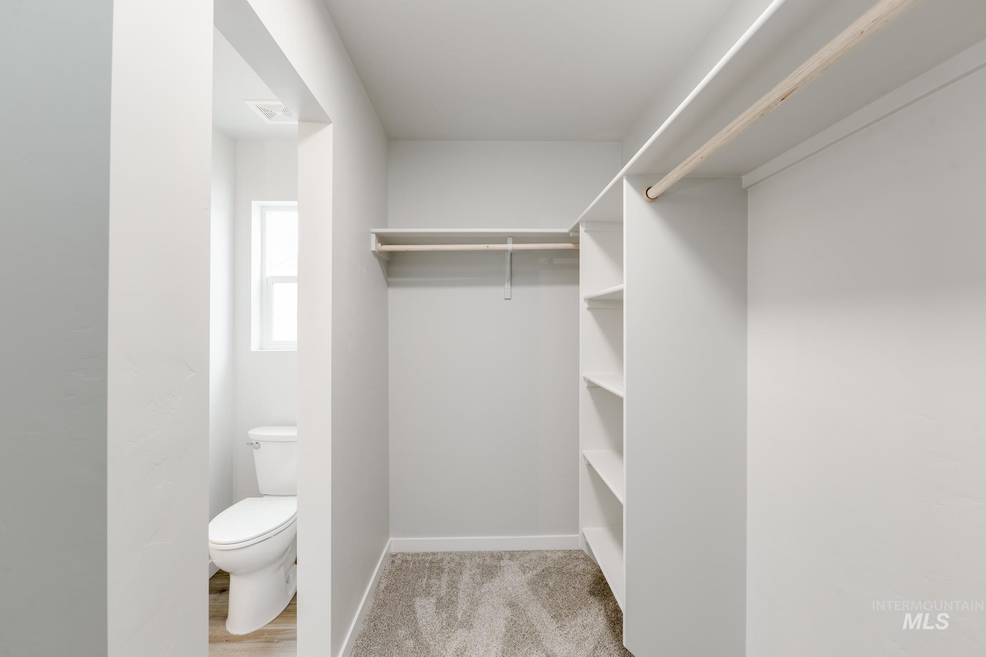 Spacious closet featuring light carpet
