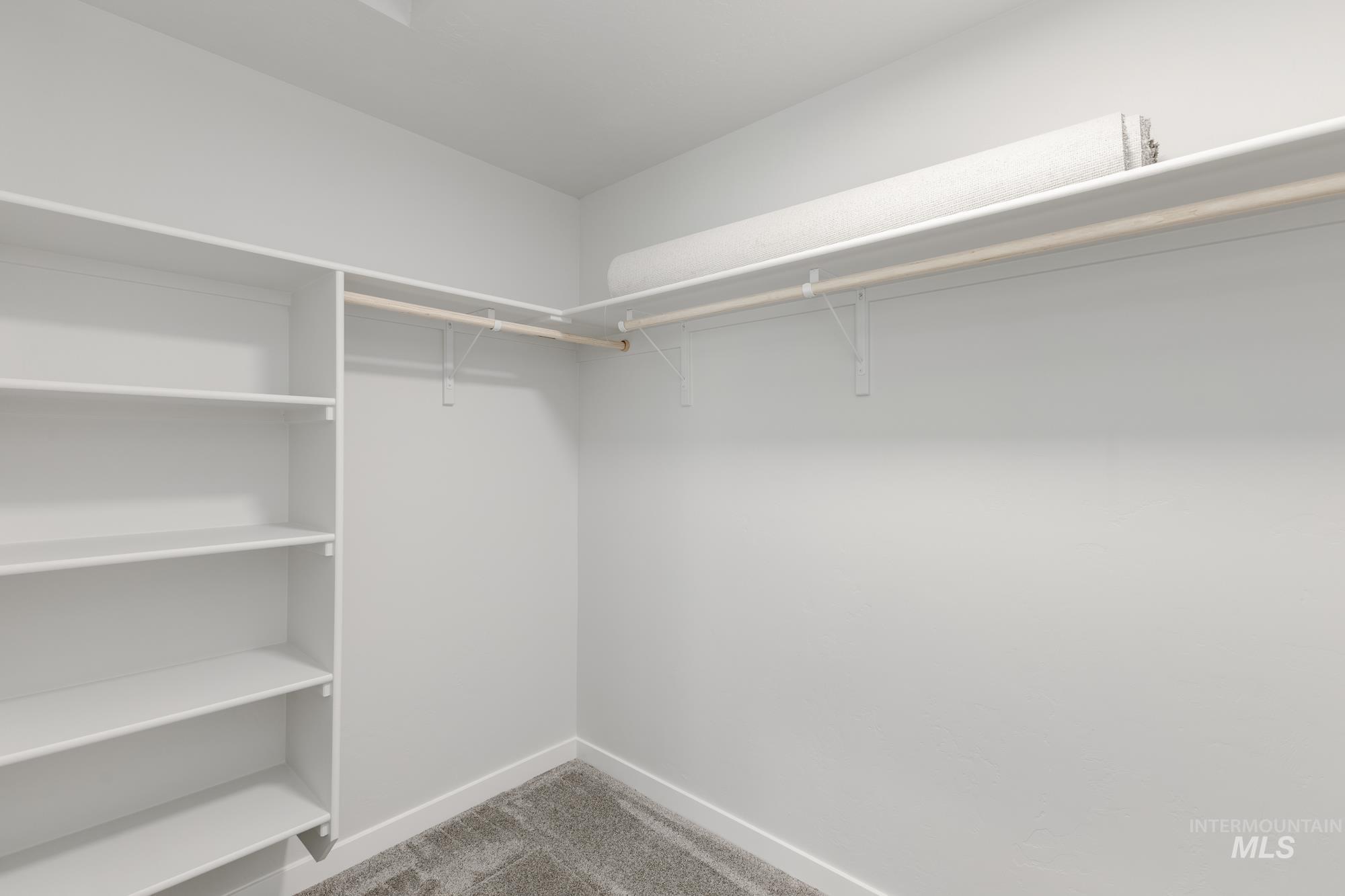 Walk in closet with light carpet